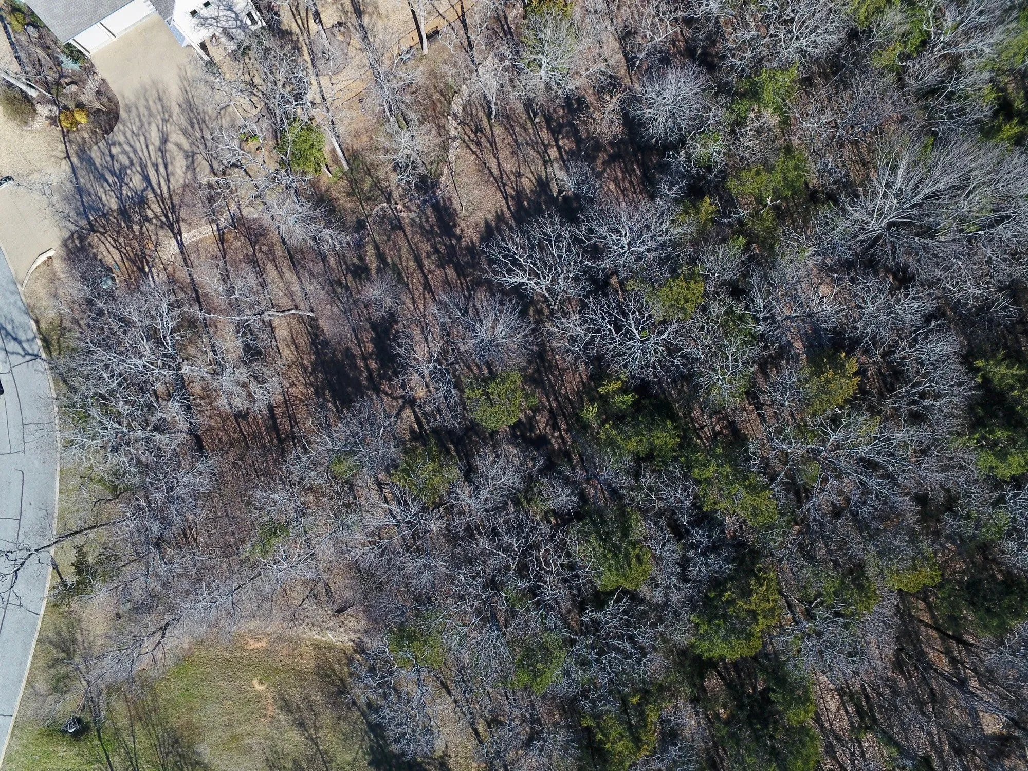 Unimproved Land For Sale in Grayson County , 27A Annadale Lane, Gordonville, Texas 76245, 0, 0, Garage spaces, 0 Sqft, built in 0, mls#20847697, Real Estate Agent in Gordonville, Homes For Sale in Grayson county, Homes For Sale in Gordonville, Realtor in Gordonville Texas, Real Estate Brokerage Independent Realty Texas, Luminita Cordes Realtor
