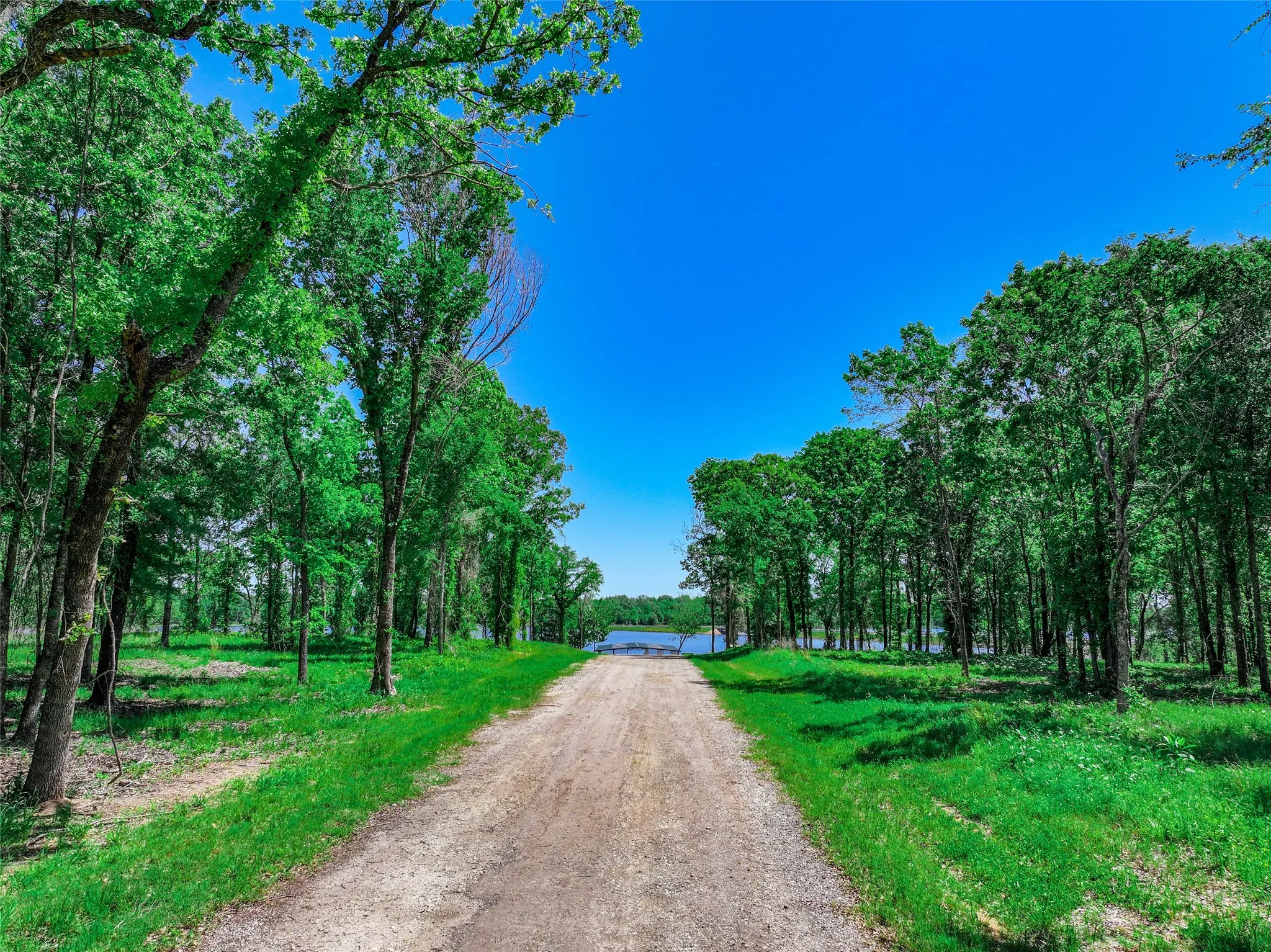 Improved Land For Sale in Wood County , TBD Private Road 5862, Yantis, Texas 75497, 0, 0, Garage spaces, 0 Sqft, built in 0, mls#20847860, Real Estate Agent in Yantis, Homes For Sale in Wood county, Homes For Sale in Yantis, Realtor in Yantis Texas, Real Estate Brokerage Independent Realty Texas, Luminita Cordes Realtor