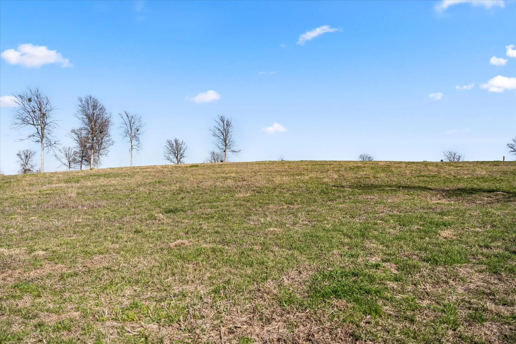 Unimproved Land For Sale in Navarro County , Lot 31 Old Peninsula Trail, Corsicana, Texas 75109, 0, 0, Garage spaces, 0 Sqft, built in 0, Price $219,000, mls#20847911, Real Estate Agent in Corsicana, Homes For Sale in Navarro county, Homes For Sale in Corsicana, Realtor in Corsicana Texas, Real Estate Brokerage Independent Realty Texas, Luminita Cordes Realtor