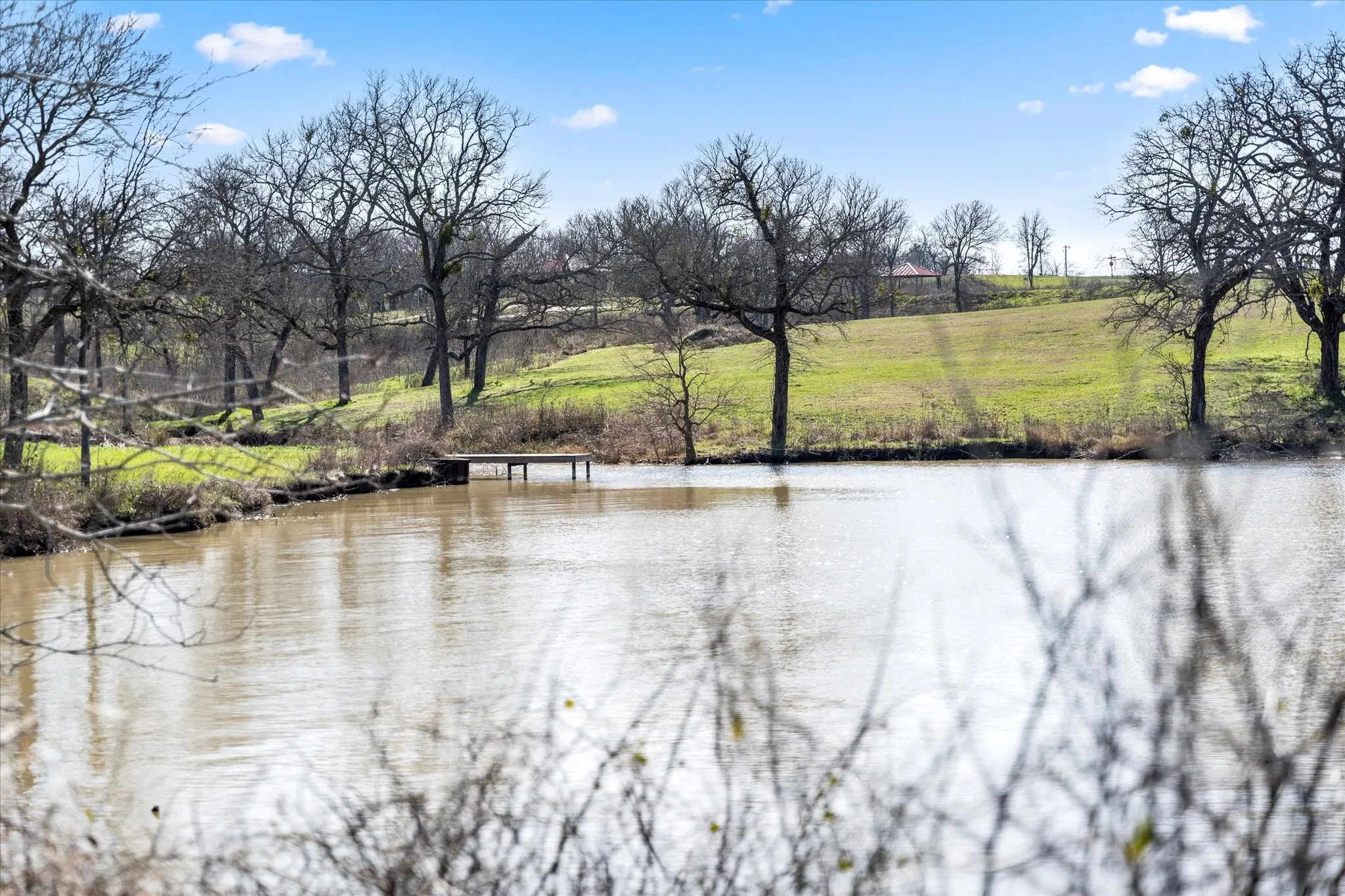 Unimproved Land For Sale in Navarro County , Lot 31 Old Peninsula Trail, Corsicana, Texas 75109, 0, 0, Garage spaces, 0 Sqft, built in 0, Price $219,000, mls#20847911, Real Estate Agent in Corsicana, Homes For Sale in Navarro county, Homes For Sale in Corsicana, Realtor in Corsicana Texas, Real Estate Brokerage Independent Realty Texas, Luminita Cordes Realtor