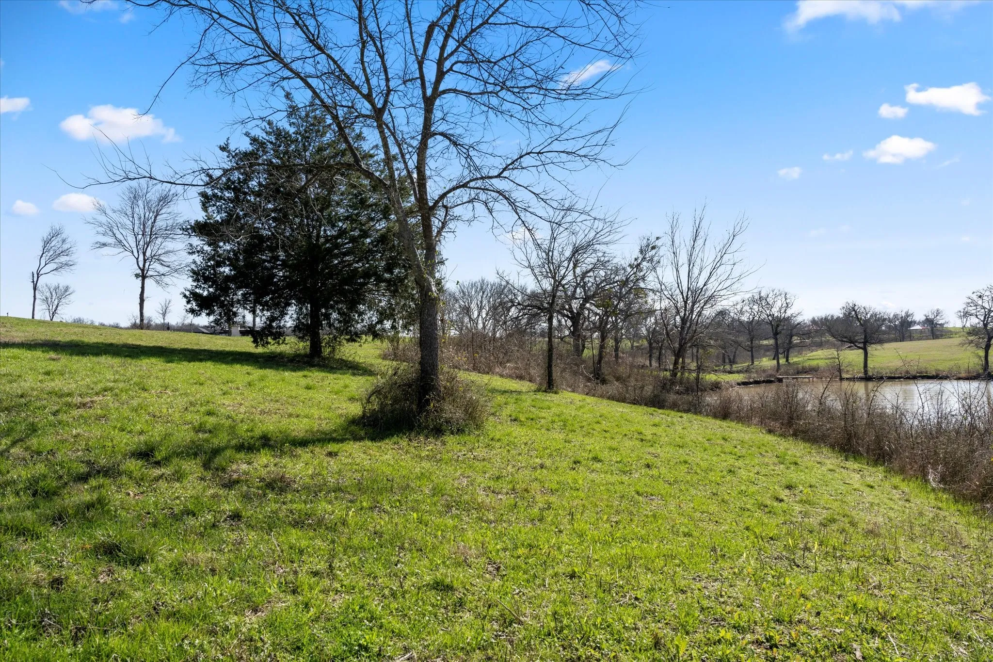 Unimproved Land For Sale in Navarro County , Lot 31 Old Peninsula Trail, Corsicana, Texas 75109, 0, 0, Garage spaces, 0 Sqft, built in 0, Price $219,000, mls#20847911, Real Estate Agent in Corsicana, Homes For Sale in Navarro county, Homes For Sale in Corsicana, Realtor in Corsicana Texas, Real Estate Brokerage Independent Realty Texas, Luminita Cordes Realtor