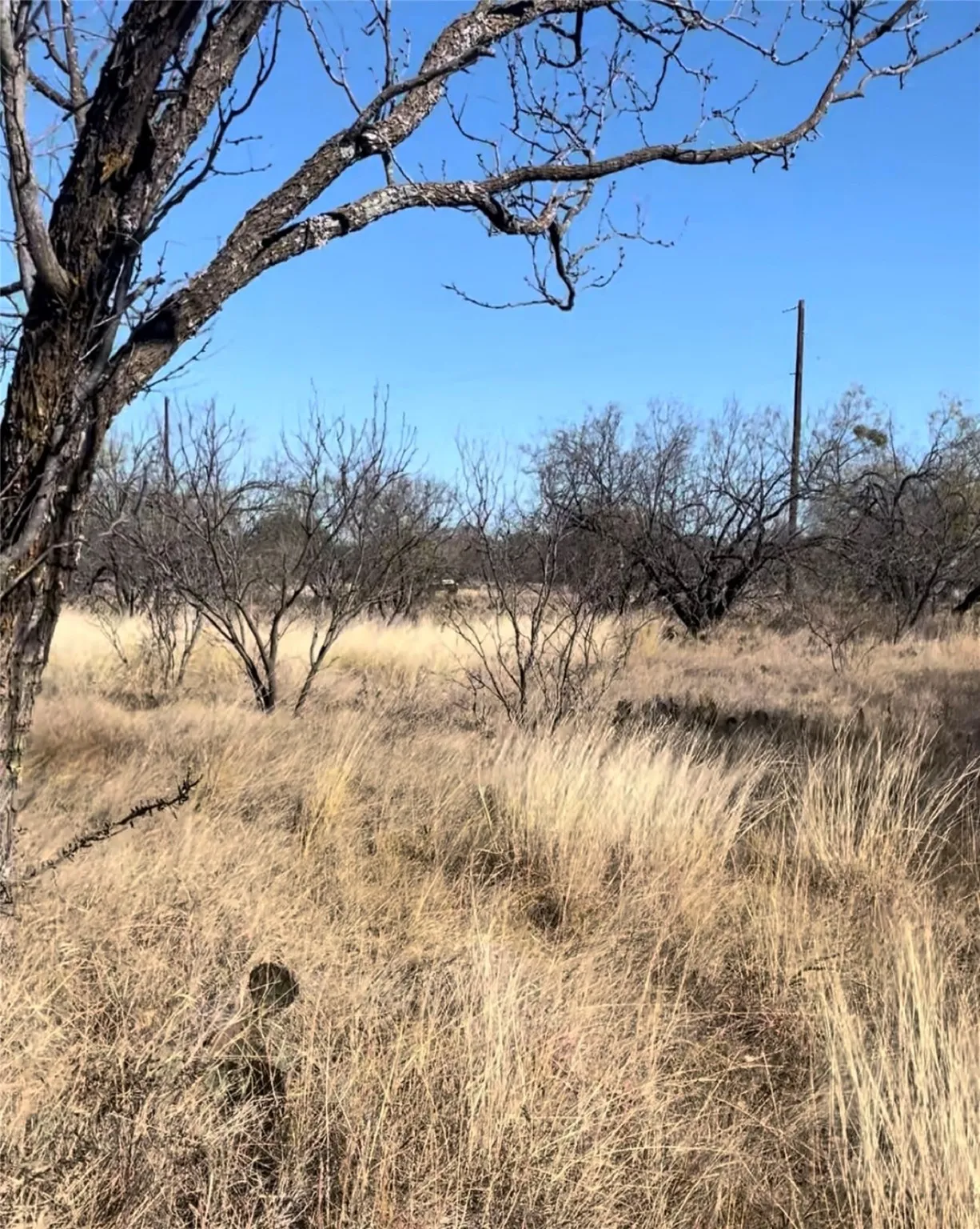 Unimproved Land For Sale in Brown County , 521 N Beacon Lane, Brownwood, Texas 76801, 0, 0, Garage spaces, 0 Sqft, built in 0, mls#20849735, Real Estate Agent in Brownwood, Homes For Sale in Brown county, Homes For Sale in Brownwood, Realtor in Brownwood Texas, Real Estate Brokerage Independent Realty Texas, Luminita Cordes Realtor