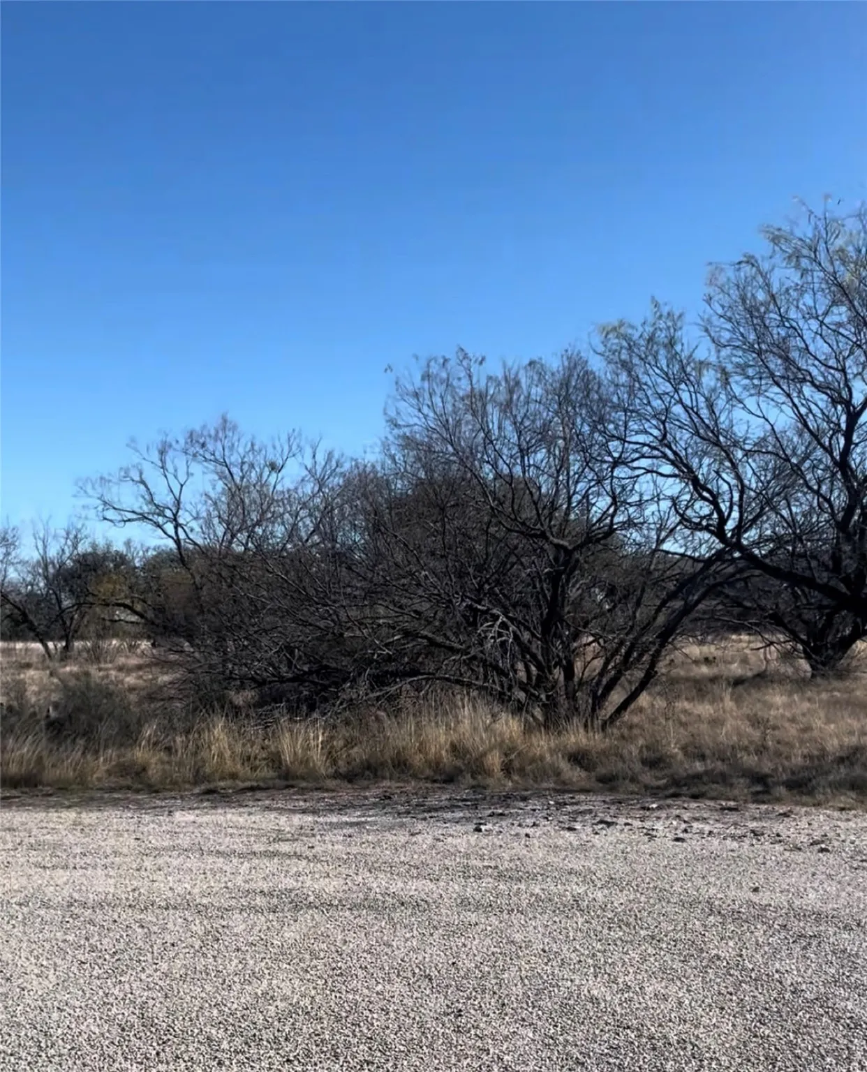 Unimproved Land For Sale in Brown County , 521 N Beacon Lane, Brownwood, Texas 76801, 0, 0, Garage spaces, 0 Sqft, built in 0, mls#20849735, Real Estate Agent in Brownwood, Homes For Sale in Brown county, Homes For Sale in Brownwood, Realtor in Brownwood Texas, Real Estate Brokerage Independent Realty Texas, Luminita Cordes Realtor