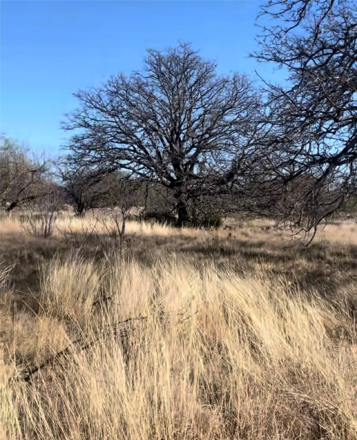 Unimproved Land For Sale in Brown County , 521 N Beacon Lane, Brownwood, Texas 76801, 0, 0, Garage spaces, 0 Sqft, built in 0, mls#20849735, Real Estate Agent in Brownwood, Homes For Sale in Brown county, Homes For Sale in Brownwood, Realtor in Brownwood Texas, Real Estate Brokerage Independent Realty Texas, Luminita Cordes Realtor