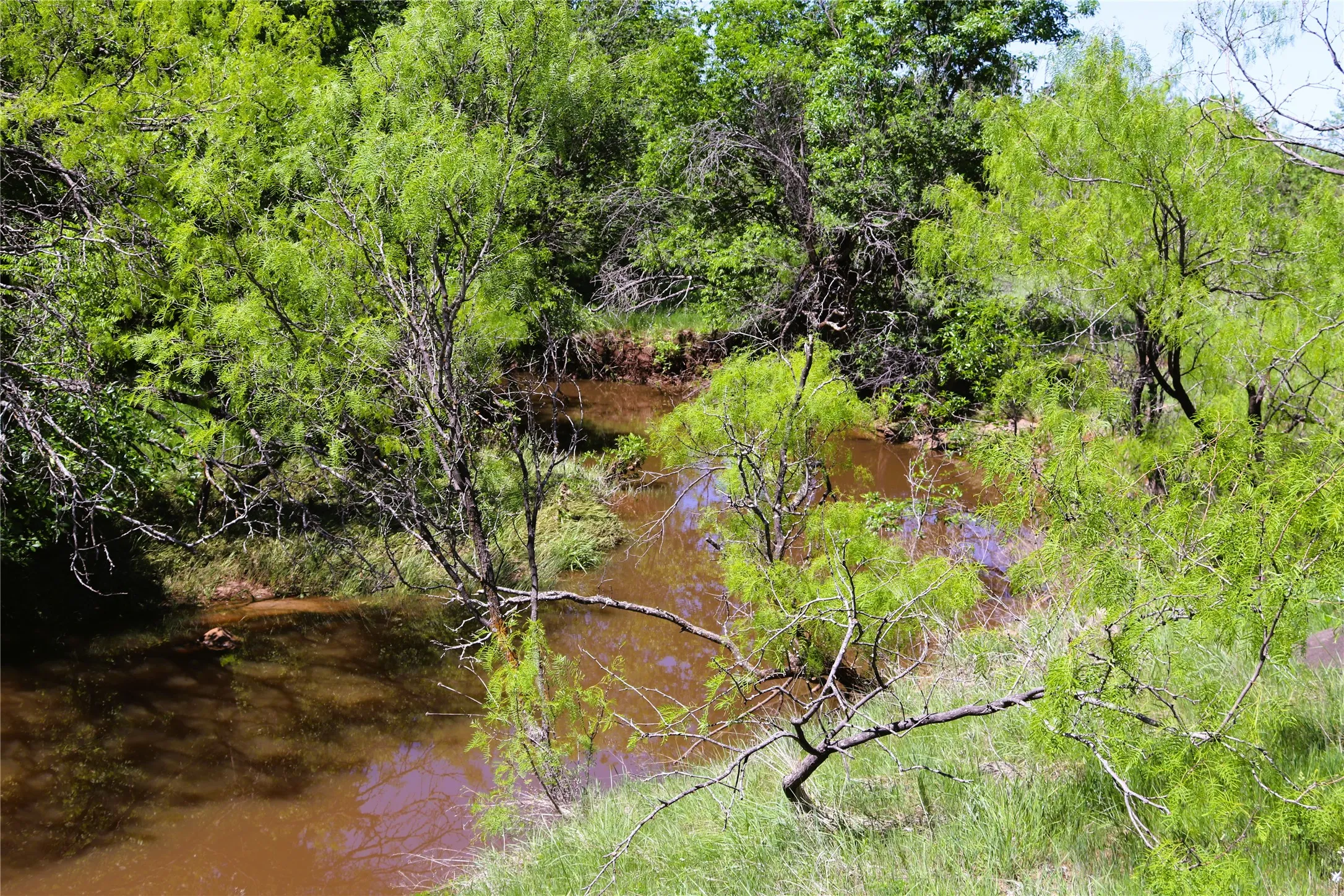 Farm For Sale in Clay County , 10543 Old Joy Shannon Road, Henrietta, Texas 76365, 3 Bedroom, 1 Bathroom, 1 Garage spaces, 928 Sqft, built in 1930, mls#20850120, Real Estate Agent in Henrietta, Homes For Sale in Clay county, Homes For Sale in Henrietta, Realtor in Henrietta Texas, Real Estate Brokerage Independent Realty Texas, Luminita Cordes Realtor