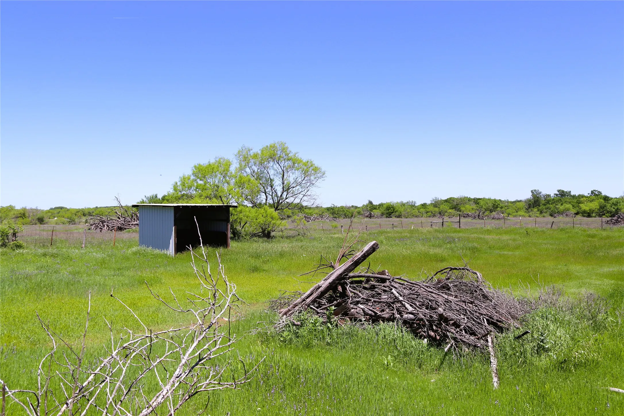 Farm For Sale in Clay County , 10543 Old Joy Shannon Road, Henrietta, Texas 76365, 3 Bedroom, 1 Bathroom, 1 Garage spaces, 928 Sqft, built in 1930, mls#20850120, Real Estate Agent in Henrietta, Homes For Sale in Clay county, Homes For Sale in Henrietta, Realtor in Henrietta Texas, Real Estate Brokerage Independent Realty Texas, Luminita Cordes Realtor