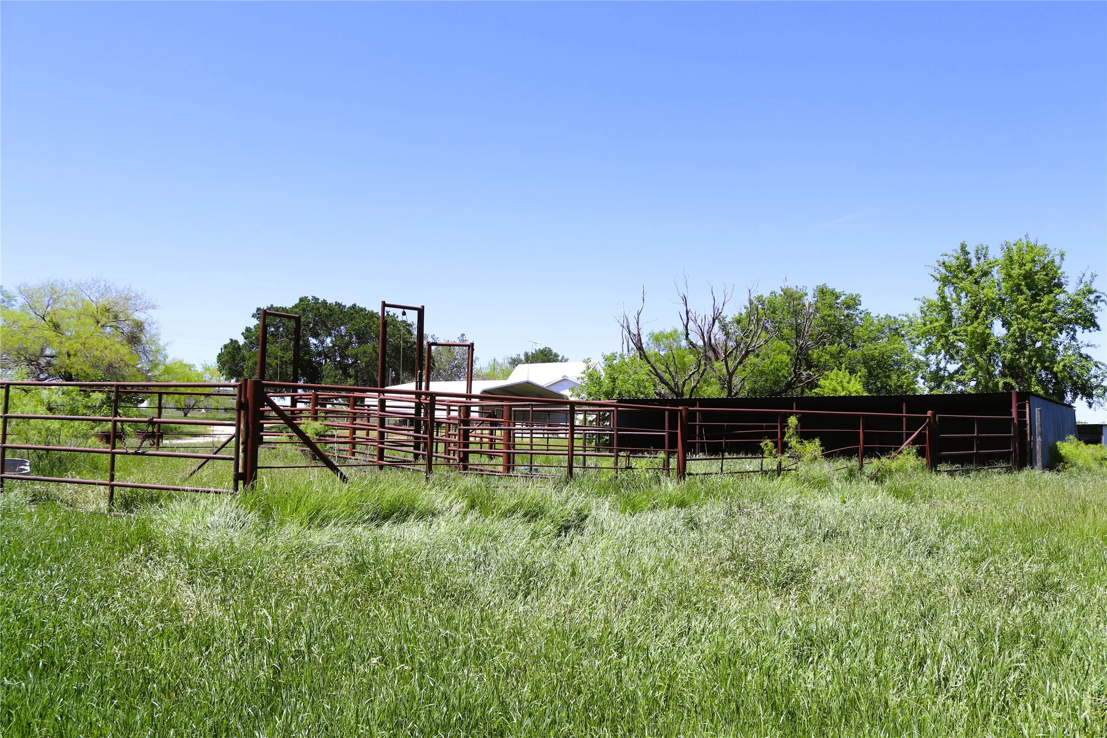 Farm For Sale in Clay County , 10543 Old Joy Shannon Road, Henrietta, Texas 76365, 3 Bedroom, 1 Bathroom, 1 Garage spaces, 928 Sqft, built in 1930, mls#20850120, Real Estate Agent in Henrietta, Homes For Sale in Clay county, Homes For Sale in Henrietta, Realtor in Henrietta Texas, Real Estate Brokerage Independent Realty Texas, Luminita Cordes Realtor