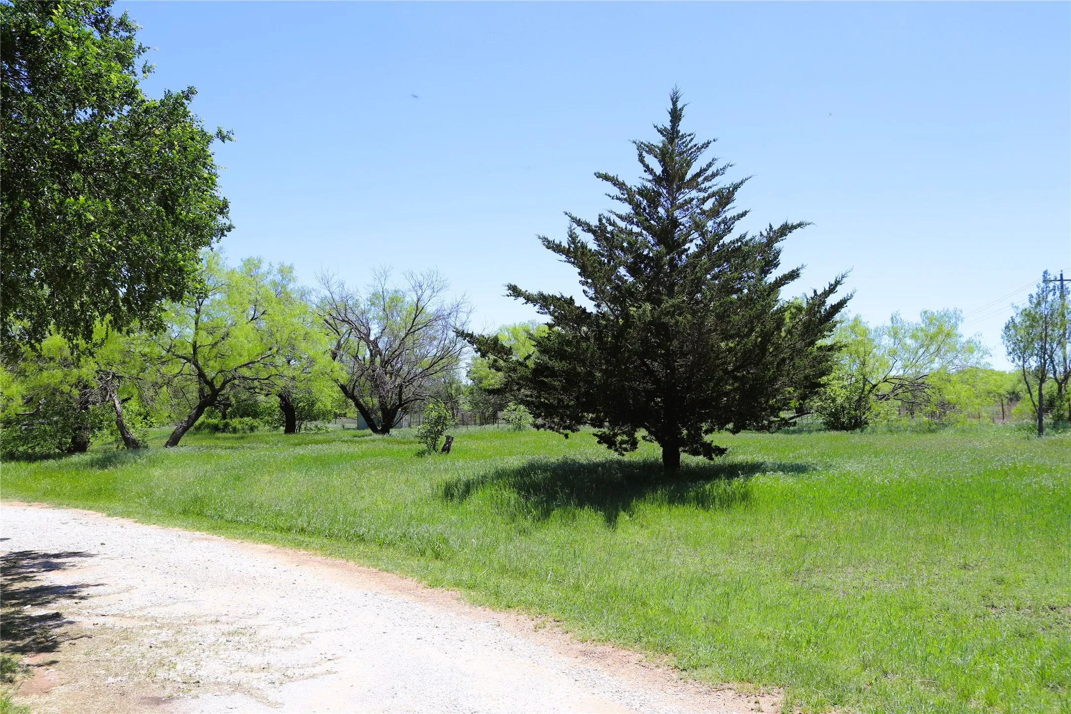 Farm For Sale in Clay County , 10543 Old Joy Shannon Road, Henrietta, Texas 76365, 3 Bedroom, 1 Bathroom, 1 Garage spaces, 928 Sqft, built in 1930, mls#20850120, Real Estate Agent in Henrietta, Homes For Sale in Clay county, Homes For Sale in Henrietta, Realtor in Henrietta Texas, Real Estate Brokerage Independent Realty Texas, Luminita Cordes Realtor