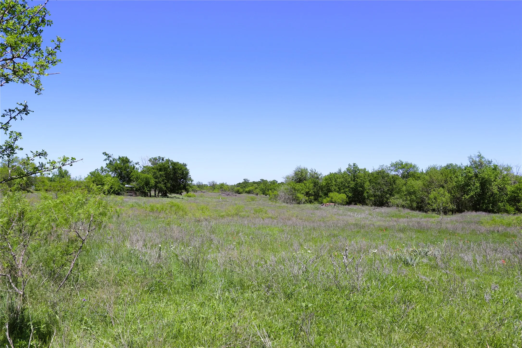 Farm For Sale in Clay County , 10543 Old Joy Shannon Road, Henrietta, Texas 76365, 3 Bedroom, 1 Bathroom, 1 Garage spaces, 928 Sqft, built in 1930, mls#20850120, Real Estate Agent in Henrietta, Homes For Sale in Clay county, Homes For Sale in Henrietta, Realtor in Henrietta Texas, Real Estate Brokerage Independent Realty Texas, Luminita Cordes Realtor