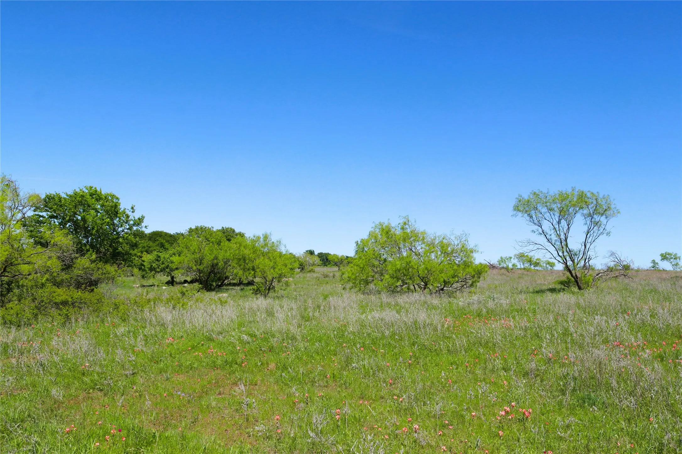 Farm For Sale in Clay County , 10543 Old Joy Shannon Road, Henrietta, Texas 76365, 3 Bedroom, 1 Bathroom, 1 Garage spaces, 928 Sqft, built in 1930, mls#20850120, Real Estate Agent in Henrietta, Homes For Sale in Clay county, Homes For Sale in Henrietta, Realtor in Henrietta Texas, Real Estate Brokerage Independent Realty Texas, Luminita Cordes Realtor