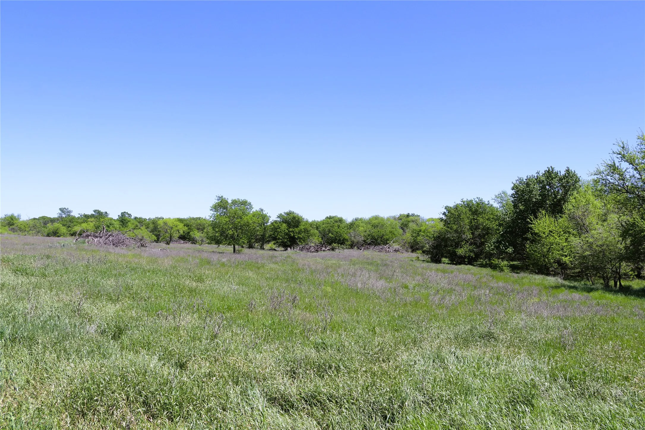 Farm For Sale in Clay County , 10543 Old Joy Shannon Road, Henrietta, Texas 76365, 3 Bedroom, 1 Bathroom, 1 Garage spaces, 928 Sqft, built in 1930, mls#20850120, Real Estate Agent in Henrietta, Homes For Sale in Clay county, Homes For Sale in Henrietta, Realtor in Henrietta Texas, Real Estate Brokerage Independent Realty Texas, Luminita Cordes Realtor