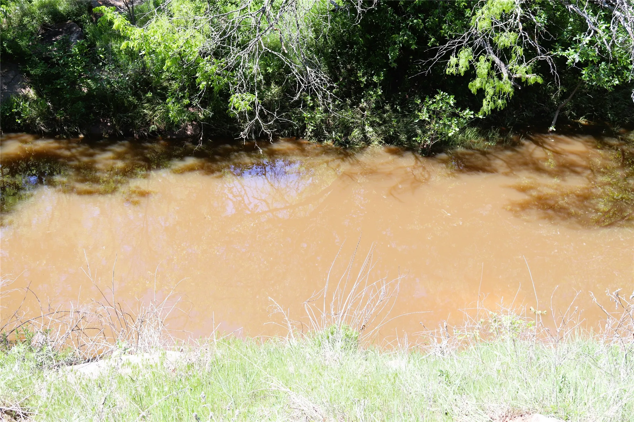 Farm For Sale in Clay County , 10543 Old Joy Shannon Road, Henrietta, Texas 76365, 3 Bedroom, 1 Bathroom, 1 Garage spaces, 928 Sqft, built in 1930, mls#20850120, Real Estate Agent in Henrietta, Homes For Sale in Clay county, Homes For Sale in Henrietta, Realtor in Henrietta Texas, Real Estate Brokerage Independent Realty Texas, Luminita Cordes Realtor