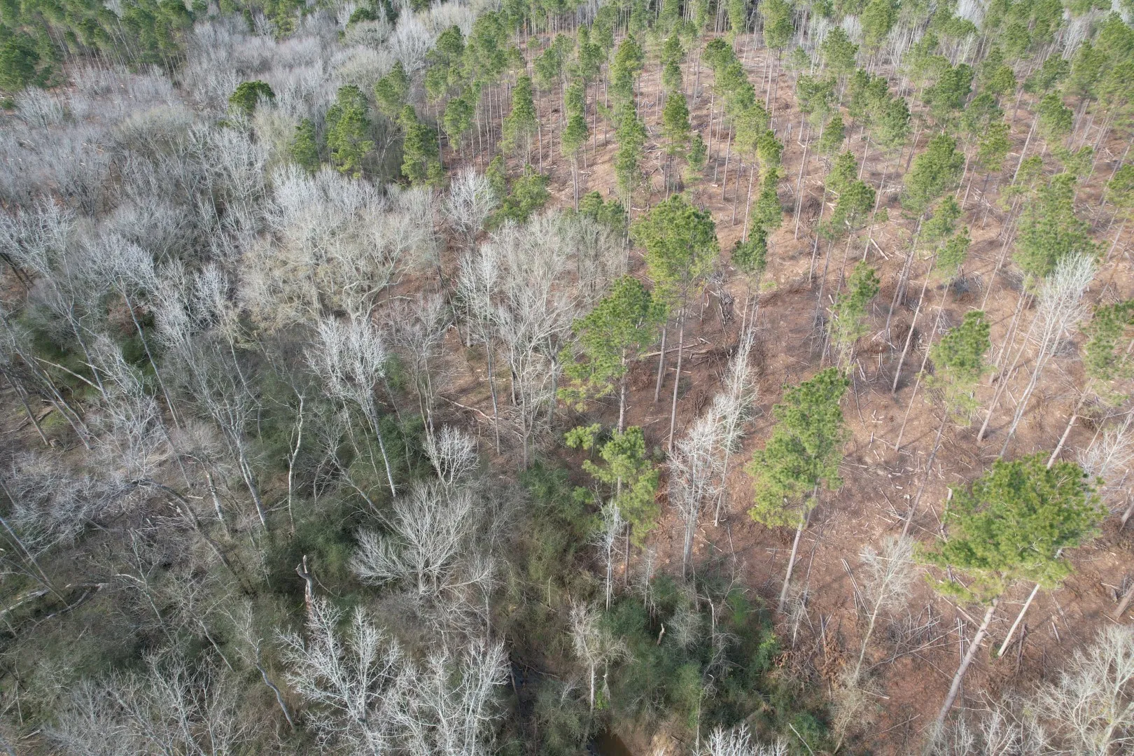Unimproved Land For Sale in Shelby County , Tract B County Road 4037, Timpson, Texas 75975, 0, 0, Garage spaces, 0 Sqft, built in 0, Price $142,500, mls#20850294, Real Estate Agent in Timpson, Homes For Sale in Shelby county, Homes For Sale in Timpson, Realtor in Timpson Texas, Real Estate Brokerage Independent Realty Texas, Luminita Cordes Realtor