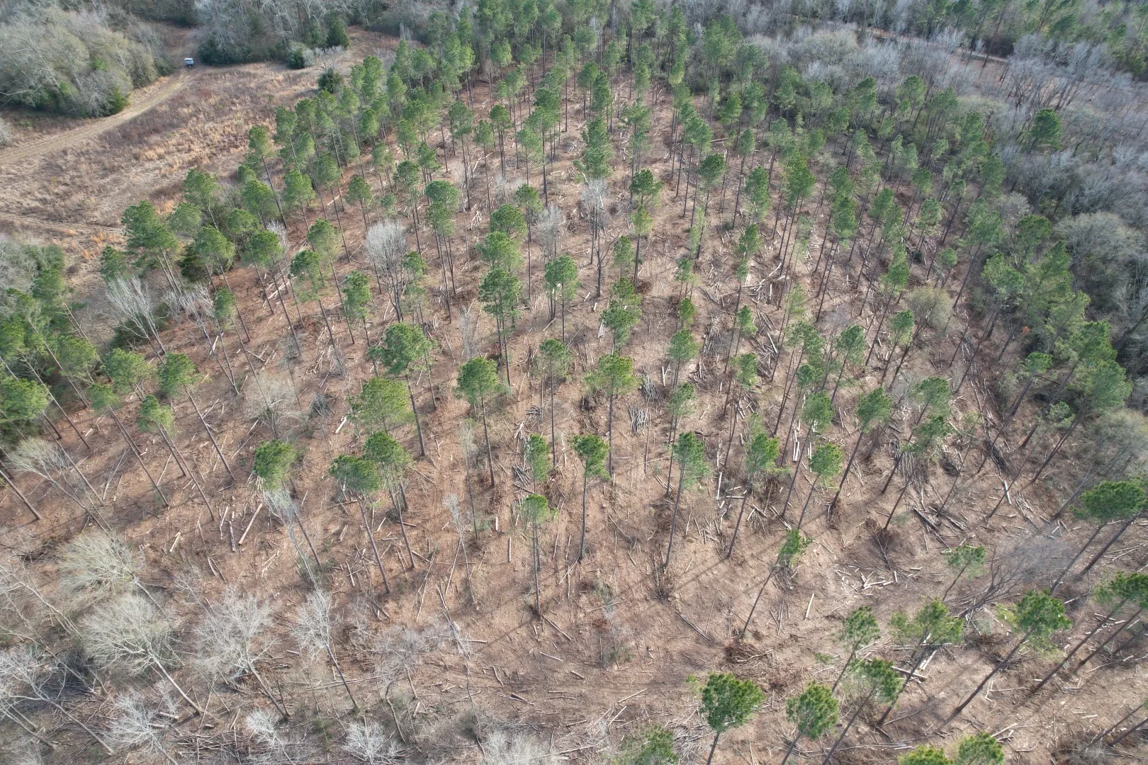 Unimproved Land For Sale in Shelby County , Tract B County Road 4037, Timpson, Texas 75975, 0, 0, Garage spaces, 0 Sqft, built in 0, Price $142,500, mls#20850294, Real Estate Agent in Timpson, Homes For Sale in Shelby county, Homes For Sale in Timpson, Realtor in Timpson Texas, Real Estate Brokerage Independent Realty Texas, Luminita Cordes Realtor