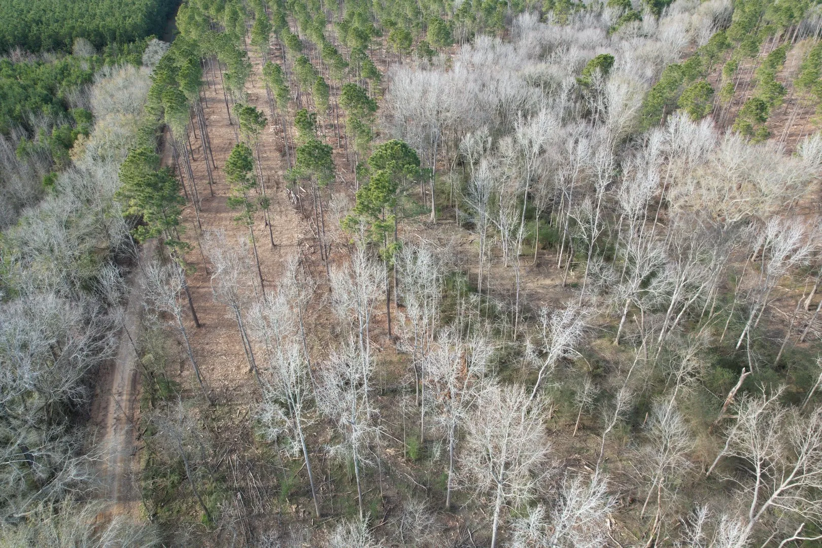 Unimproved Land For Sale in Shelby County , Tract B County Road 4037, Timpson, Texas 75975, 0, 0, Garage spaces, 0 Sqft, built in 0, Price $142,500, mls#20850294, Real Estate Agent in Timpson, Homes For Sale in Shelby county, Homes For Sale in Timpson, Realtor in Timpson Texas, Real Estate Brokerage Independent Realty Texas, Luminita Cordes Realtor