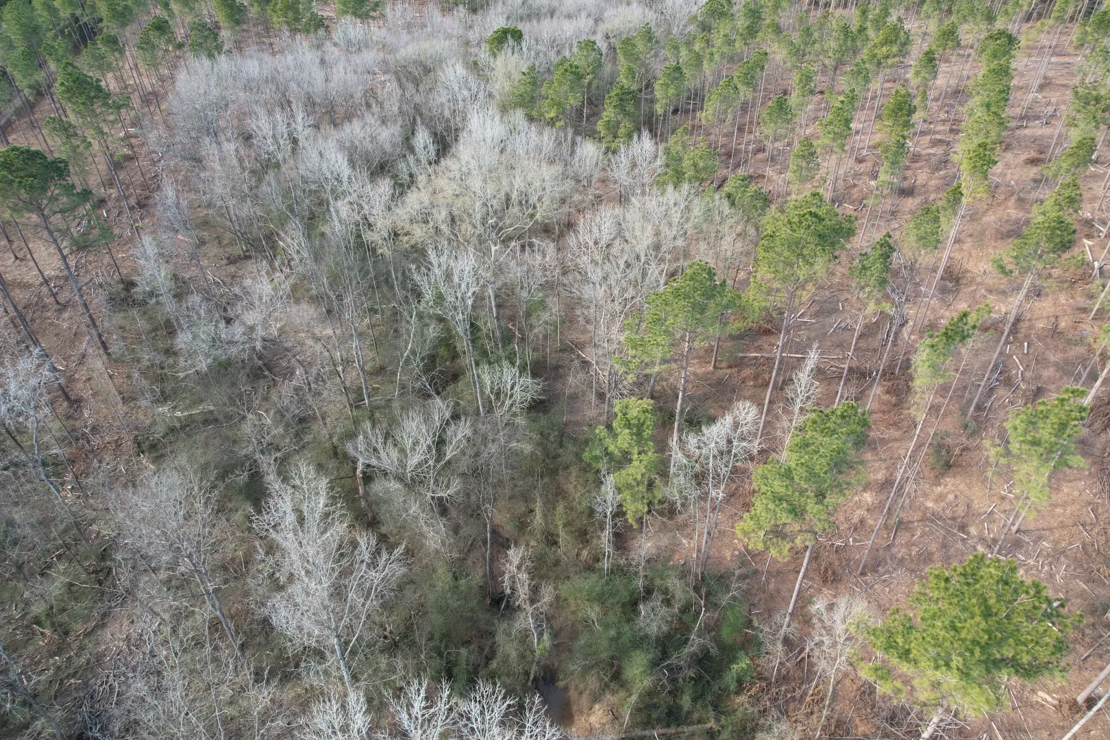 Unimproved Land For Sale in Shelby County , Tract B County Road 4037, Timpson, Texas 75975, 0, 0, Garage spaces, 0 Sqft, built in 0, Price $142,500, mls#20850294, Real Estate Agent in Timpson, Homes For Sale in Shelby county, Homes For Sale in Timpson, Realtor in Timpson Texas, Real Estate Brokerage Independent Realty Texas, Luminita Cordes Realtor