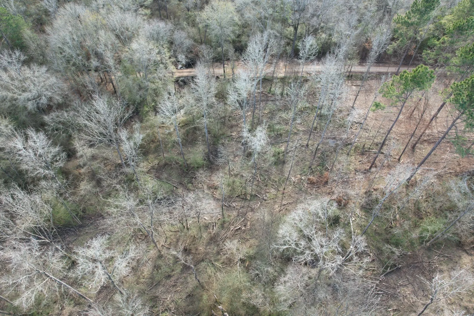 Unimproved Land For Sale in Shelby County , Tract B County Road 4037, Timpson, Texas 75975, 0, 0, Garage spaces, 0 Sqft, built in 0, Price $142,500, mls#20850294, Real Estate Agent in Timpson, Homes For Sale in Shelby county, Homes For Sale in Timpson, Realtor in Timpson Texas, Real Estate Brokerage Independent Realty Texas, Luminita Cordes Realtor