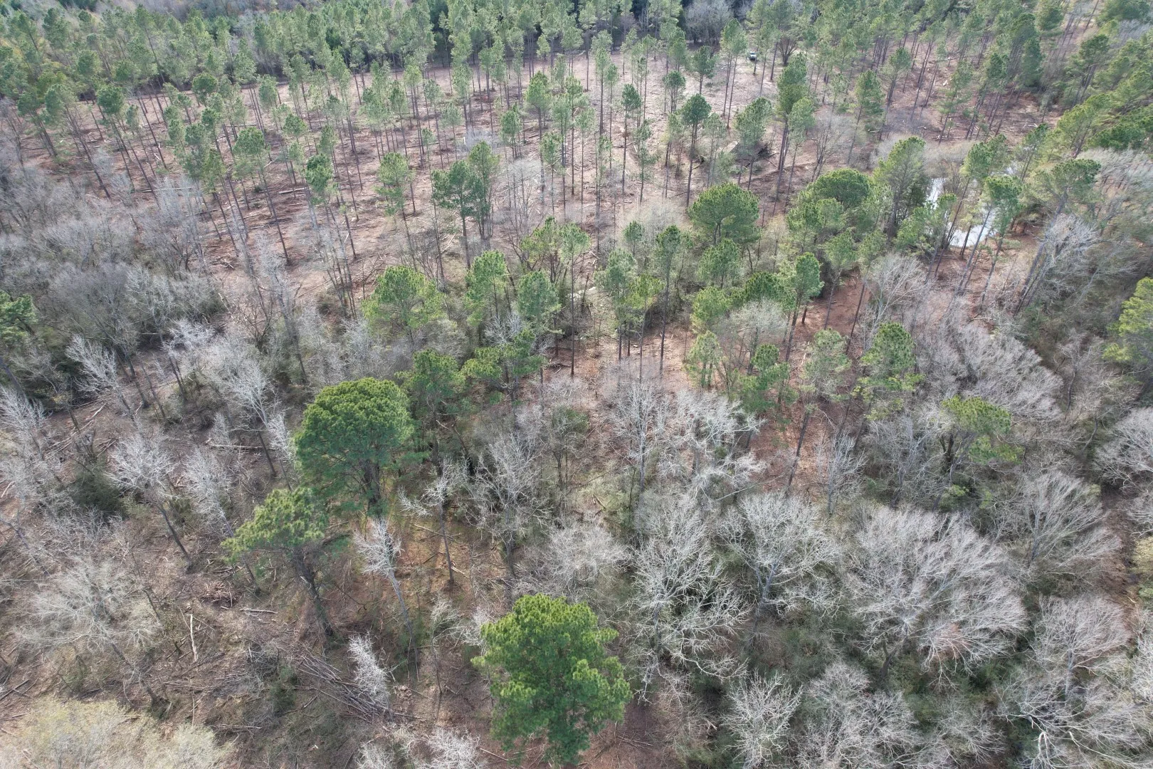 Unimproved Land For Sale in Shelby County , Tract B County Road 4037, Timpson, Texas 75975, 0, 0, Garage spaces, 0 Sqft, built in 0, Price $142,500, mls#20850294, Real Estate Agent in Timpson, Homes For Sale in Shelby county, Homes For Sale in Timpson, Realtor in Timpson Texas, Real Estate Brokerage Independent Realty Texas, Luminita Cordes Realtor
