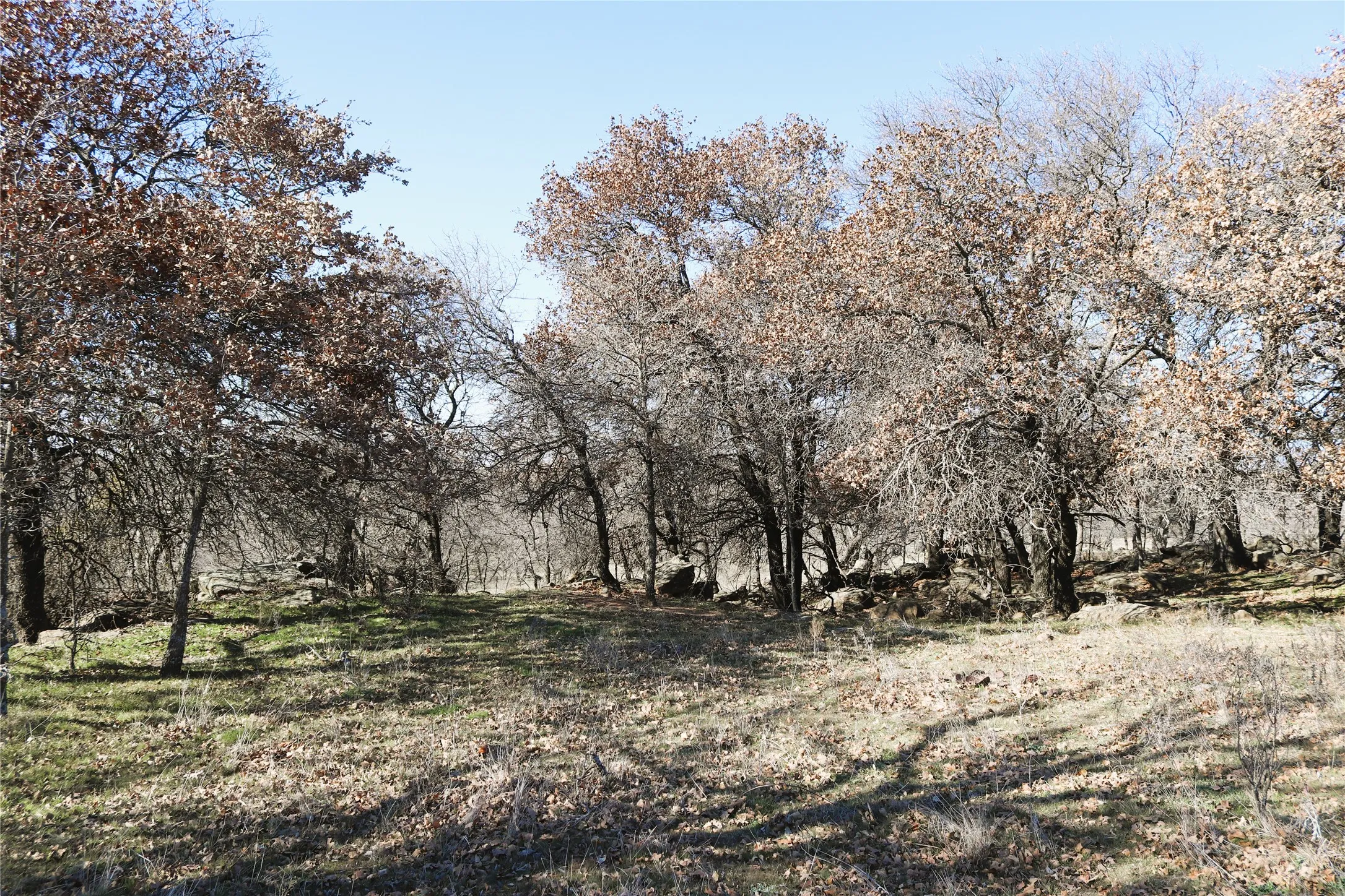 Ranch For Sale in Clay County , 40 Acres Sears Mayfield Rd, Henrietta, Texas 76365, 0, 0, Garage spaces, 0 Sqft, built in 0, mls#20850938, Real Estate Agent in Henrietta, Homes For Sale in Clay county, Homes For Sale in Henrietta, Realtor in Henrietta Texas, Real Estate Brokerage Independent Realty Texas, Luminita Cordes Realtor