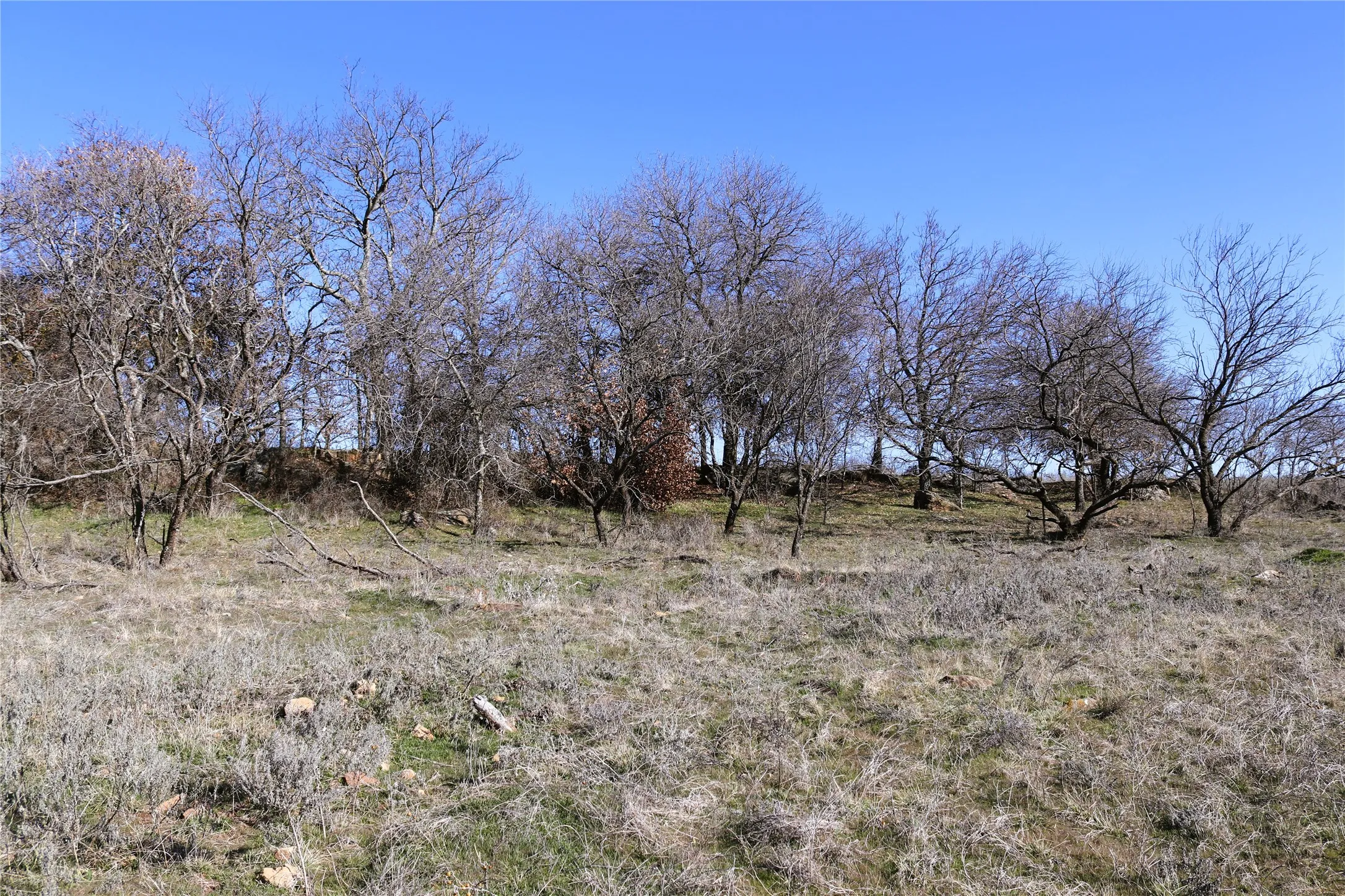 Ranch For Sale in Clay County , 40 Acres Sears Mayfield Rd, Henrietta, Texas 76365, 0, 0, Garage spaces, 0 Sqft, built in 0, mls#20850938, Real Estate Agent in Henrietta, Homes For Sale in Clay county, Homes For Sale in Henrietta, Realtor in Henrietta Texas, Real Estate Brokerage Independent Realty Texas, Luminita Cordes Realtor