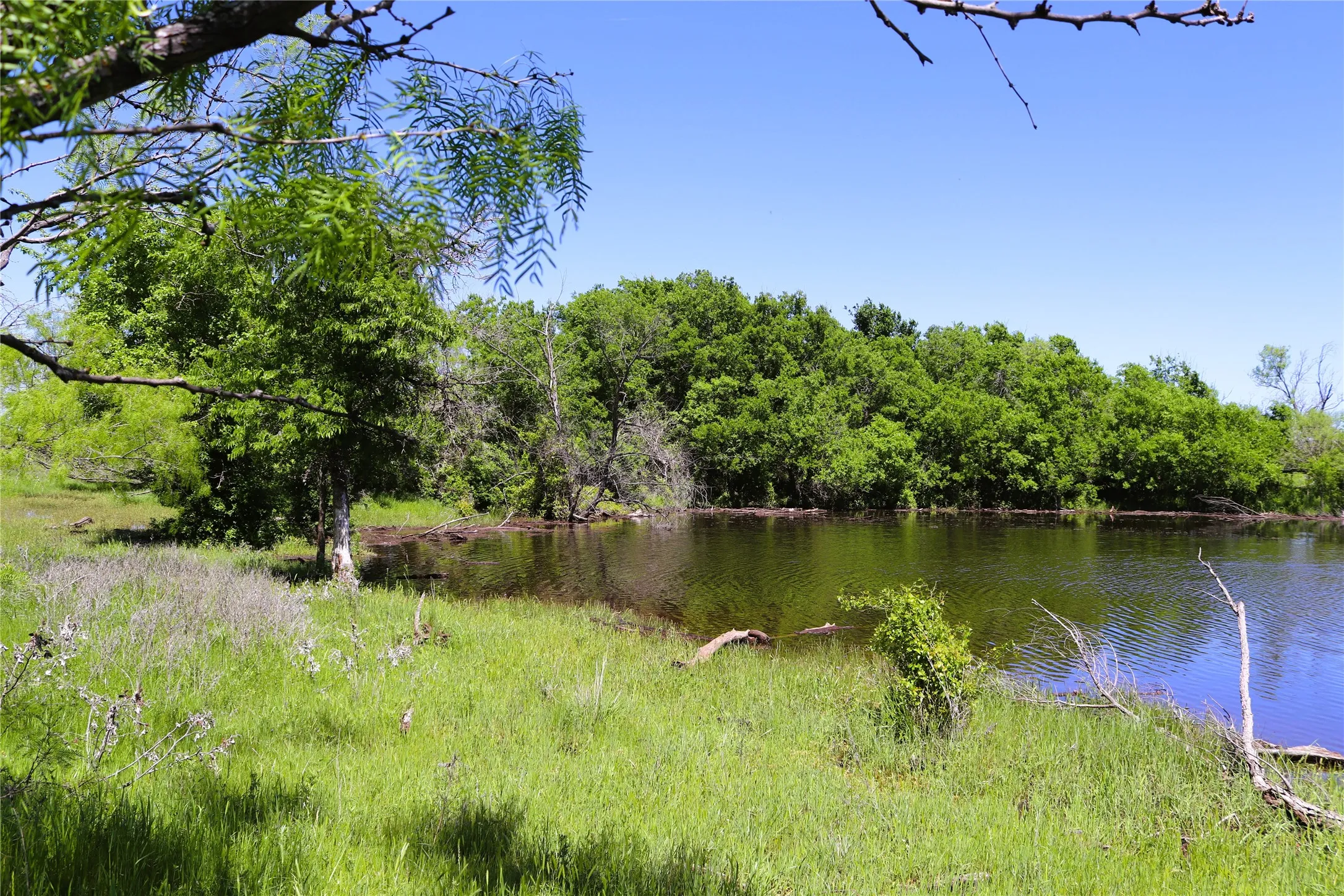 Ranch For Sale in Clay County , 40 Acres Sears Mayfield Rd, Henrietta, Texas 76365, 0, 0, Garage spaces, 0 Sqft, built in 0, mls#20850938, Real Estate Agent in Henrietta, Homes For Sale in Clay county, Homes For Sale in Henrietta, Realtor in Henrietta Texas, Real Estate Brokerage Independent Realty Texas, Luminita Cordes Realtor