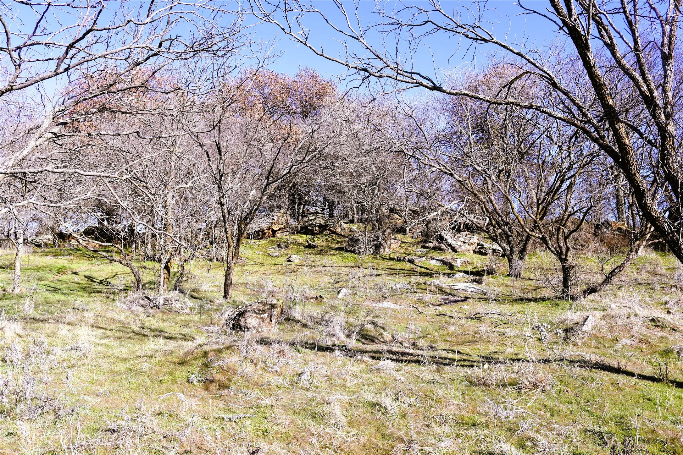 Ranch For Sale in Clay County , 40 Acres Sears Mayfield Rd, Henrietta, Texas 76365, 0, 0, Garage spaces, 0 Sqft, built in 0, mls#20850938, Real Estate Agent in Henrietta, Homes For Sale in Clay county, Homes For Sale in Henrietta, Realtor in Henrietta Texas, Real Estate Brokerage Independent Realty Texas, Luminita Cordes Realtor