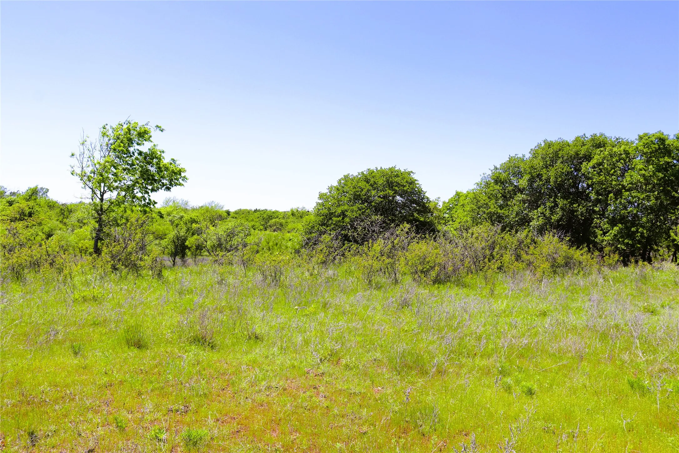 Ranch For Sale in Clay County , 40 Acres Sears Mayfield Rd, Henrietta, Texas 76365, 0, 0, Garage spaces, 0 Sqft, built in 0, mls#20850938, Real Estate Agent in Henrietta, Homes For Sale in Clay county, Homes For Sale in Henrietta, Realtor in Henrietta Texas, Real Estate Brokerage Independent Realty Texas, Luminita Cordes Realtor