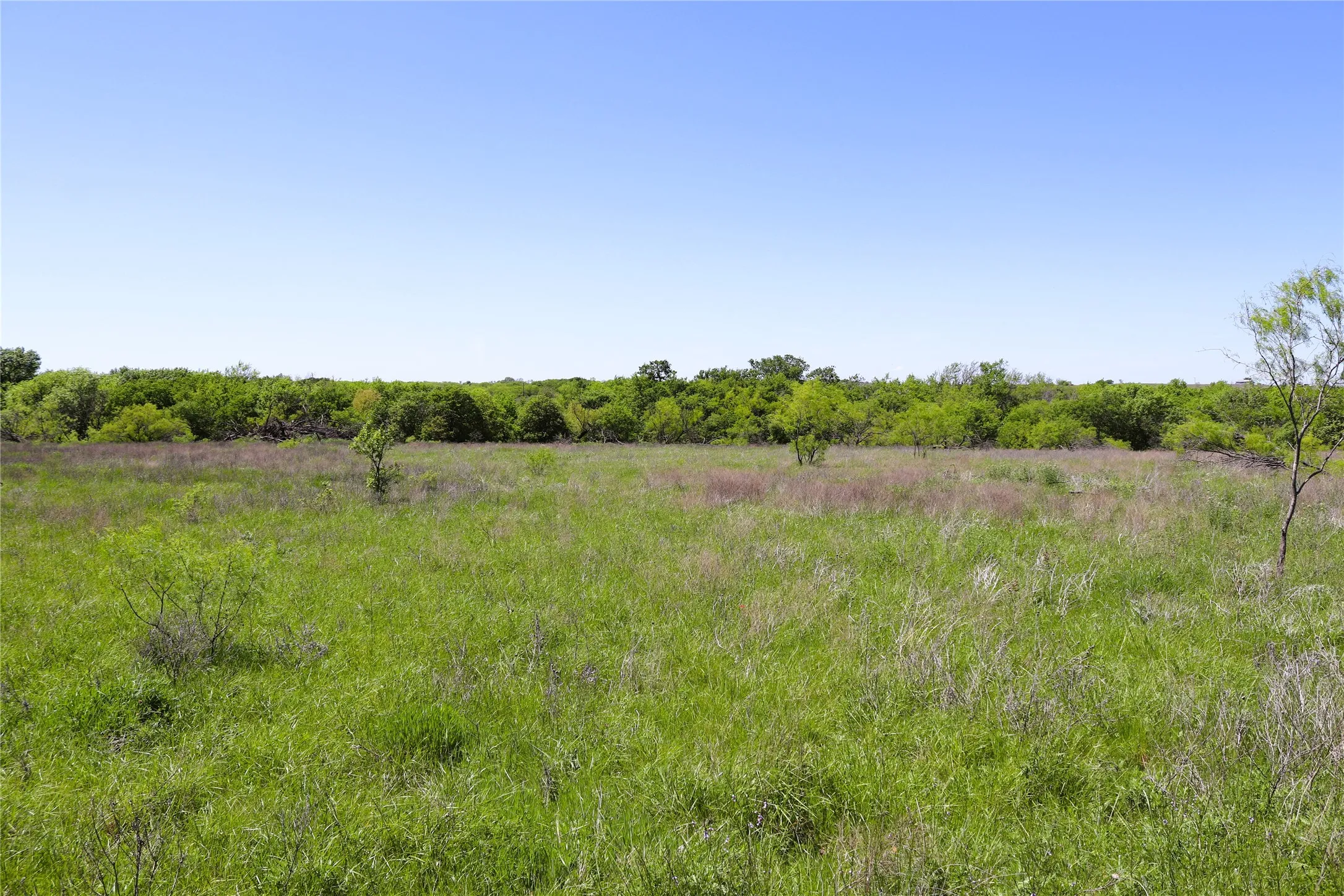 Ranch For Sale in Clay County , 40 Acres Sears Mayfield Rd, Henrietta, Texas 76365, 0, 0, Garage spaces, 0 Sqft, built in 0, mls#20850938, Real Estate Agent in Henrietta, Homes For Sale in Clay county, Homes For Sale in Henrietta, Realtor in Henrietta Texas, Real Estate Brokerage Independent Realty Texas, Luminita Cordes Realtor