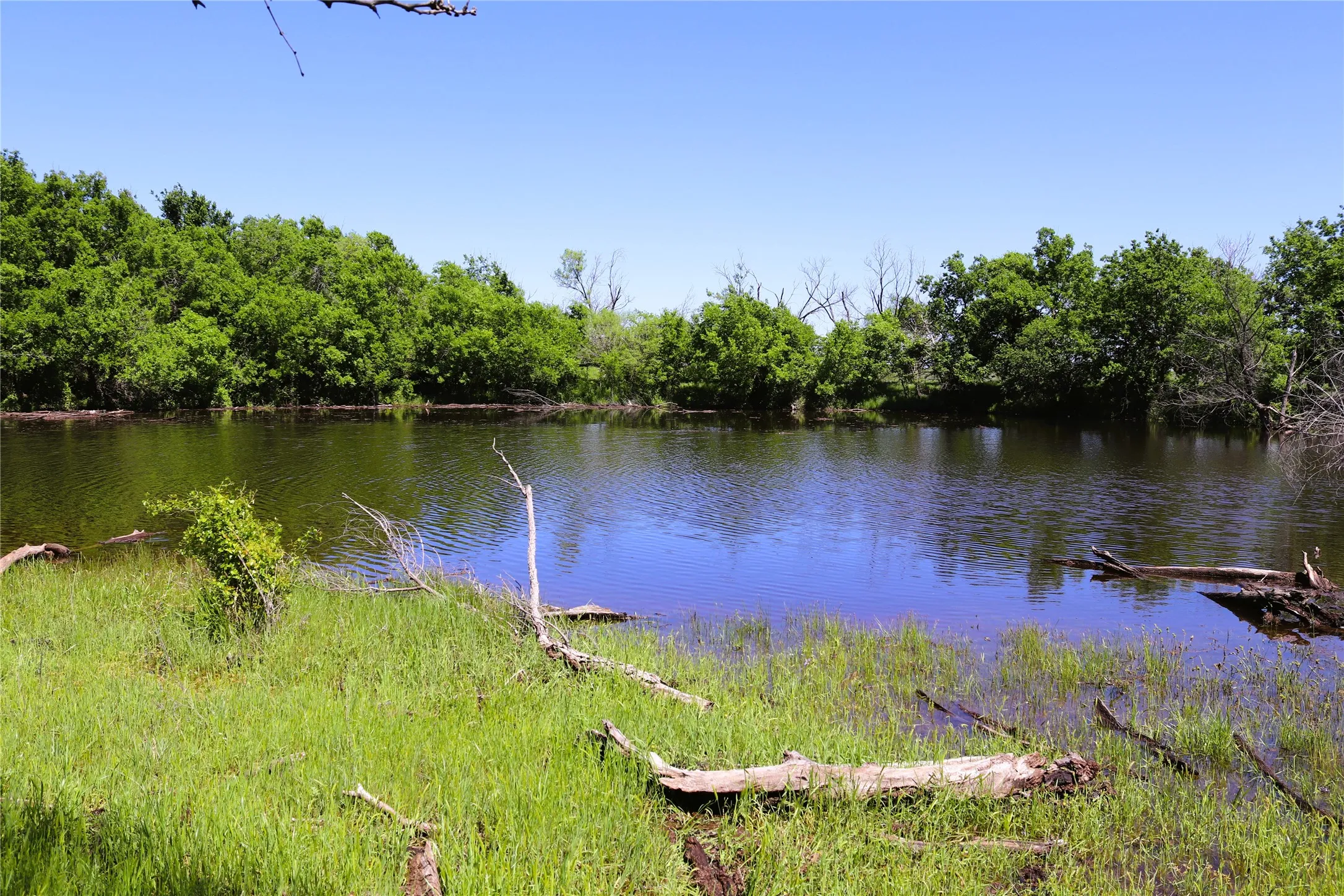 Ranch For Sale in Clay County , 40 Acres Sears Mayfield Rd, Henrietta, Texas 76365, 0, 0, Garage spaces, 0 Sqft, built in 0, mls#20850938, Real Estate Agent in Henrietta, Homes For Sale in Clay county, Homes For Sale in Henrietta, Realtor in Henrietta Texas, Real Estate Brokerage Independent Realty Texas, Luminita Cordes Realtor