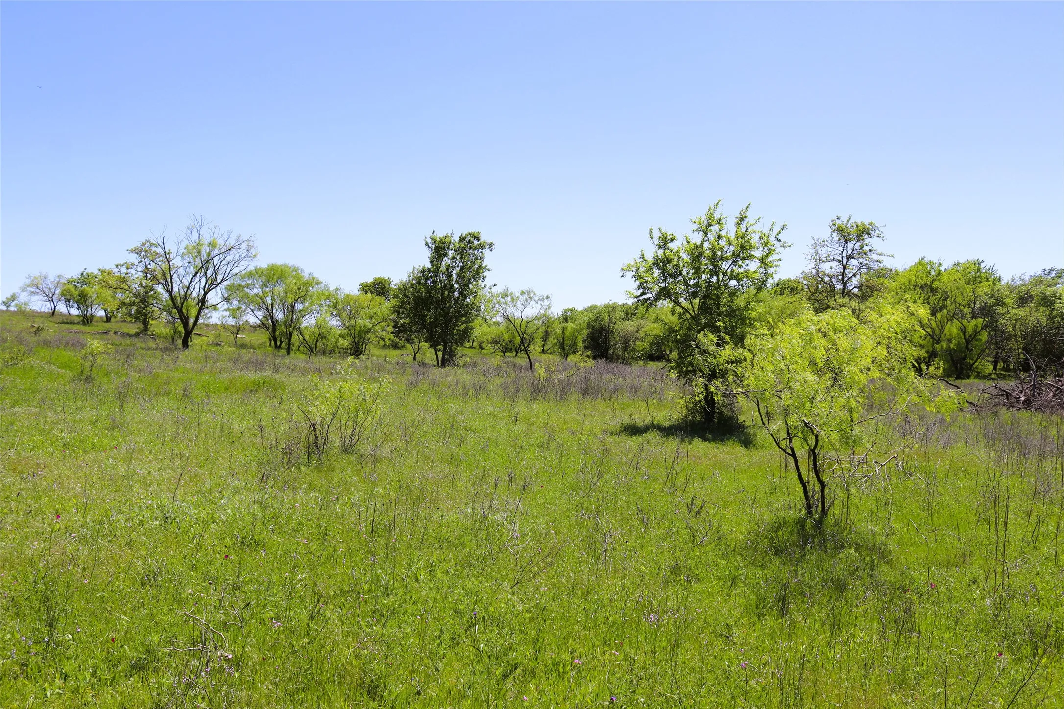 Ranch For Sale in Clay County , 40 Acres Sears Mayfield Rd, Henrietta, Texas 76365, 0, 0, Garage spaces, 0 Sqft, built in 0, mls#20850938, Real Estate Agent in Henrietta, Homes For Sale in Clay county, Homes For Sale in Henrietta, Realtor in Henrietta Texas, Real Estate Brokerage Independent Realty Texas, Luminita Cordes Realtor