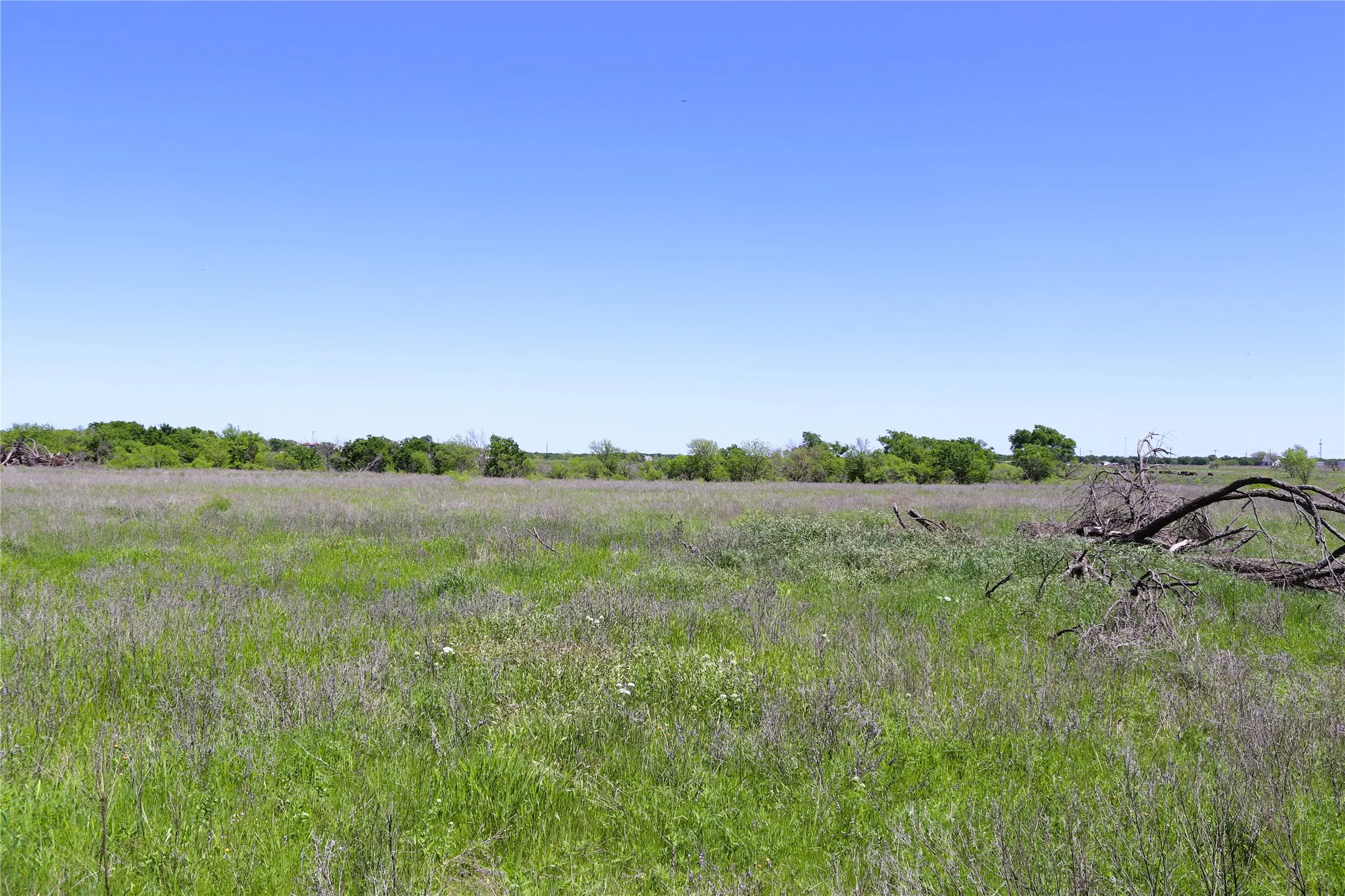 Ranch For Sale in Clay County , 40 Acres Sears Mayfield Rd, Henrietta, Texas 76365, 0, 0, Garage spaces, 0 Sqft, built in 0, mls#20850938, Real Estate Agent in Henrietta, Homes For Sale in Clay county, Homes For Sale in Henrietta, Realtor in Henrietta Texas, Real Estate Brokerage Independent Realty Texas, Luminita Cordes Realtor