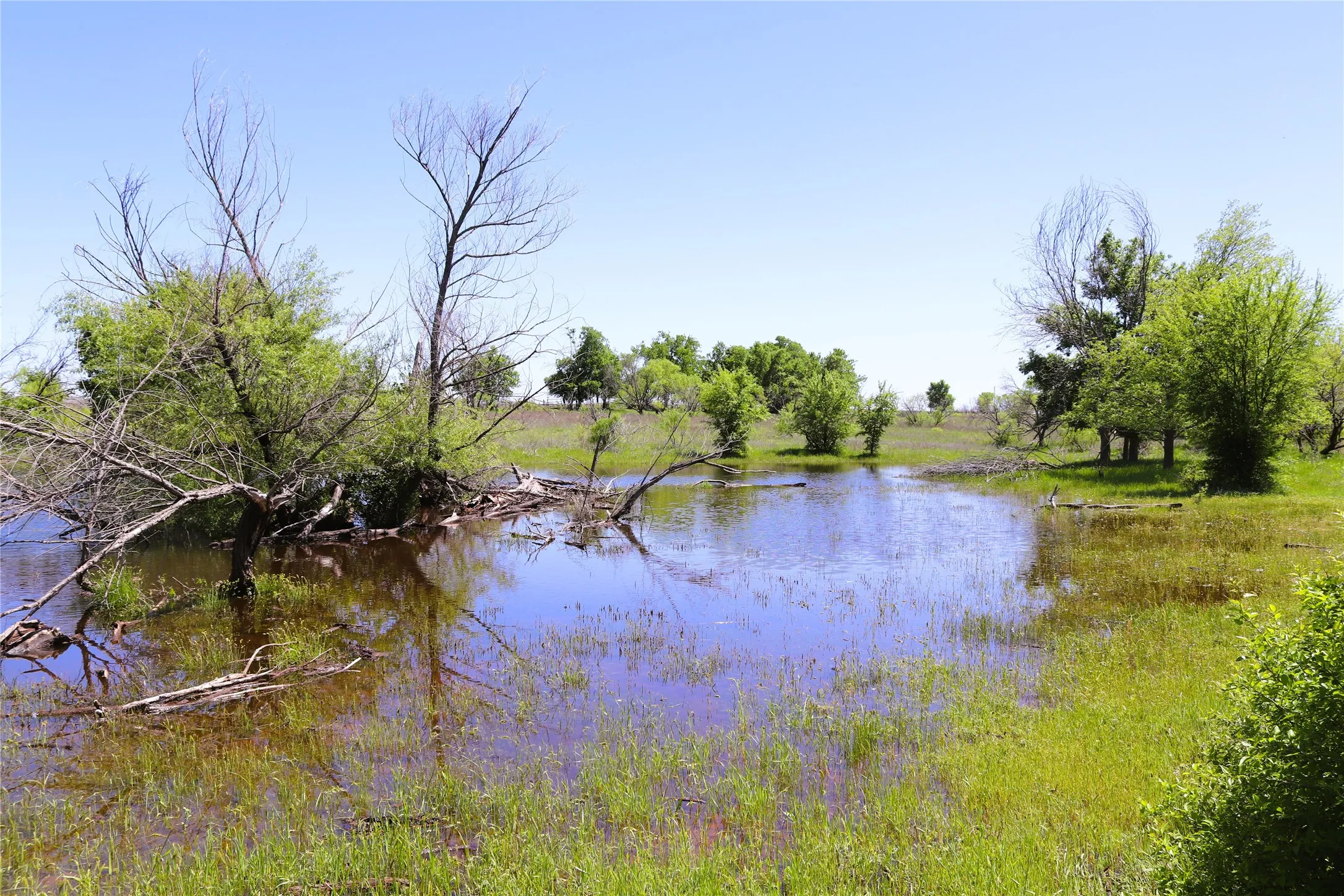 Ranch For Sale in Clay County , 40 Acres Sears Mayfield Rd, Henrietta, Texas 76365, 0, 0, Garage spaces, 0 Sqft, built in 0, mls#20850938, Real Estate Agent in Henrietta, Homes For Sale in Clay county, Homes For Sale in Henrietta, Realtor in Henrietta Texas, Real Estate Brokerage Independent Realty Texas, Luminita Cordes Realtor
