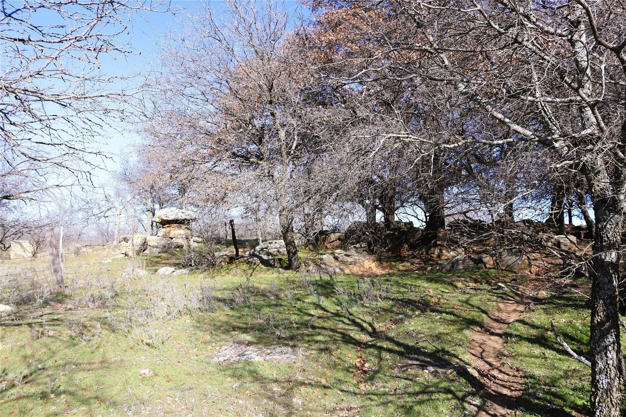 Ranch For Sale in Clay County , 40 Acres Sears Mayfield Rd, Henrietta, Texas 76365, 0, 0, Garage spaces, 0 Sqft, built in 0, mls#20850938, Real Estate Agent in Henrietta, Homes For Sale in Clay county, Homes For Sale in Henrietta, Realtor in Henrietta Texas, Real Estate Brokerage Independent Realty Texas, Luminita Cordes Realtor