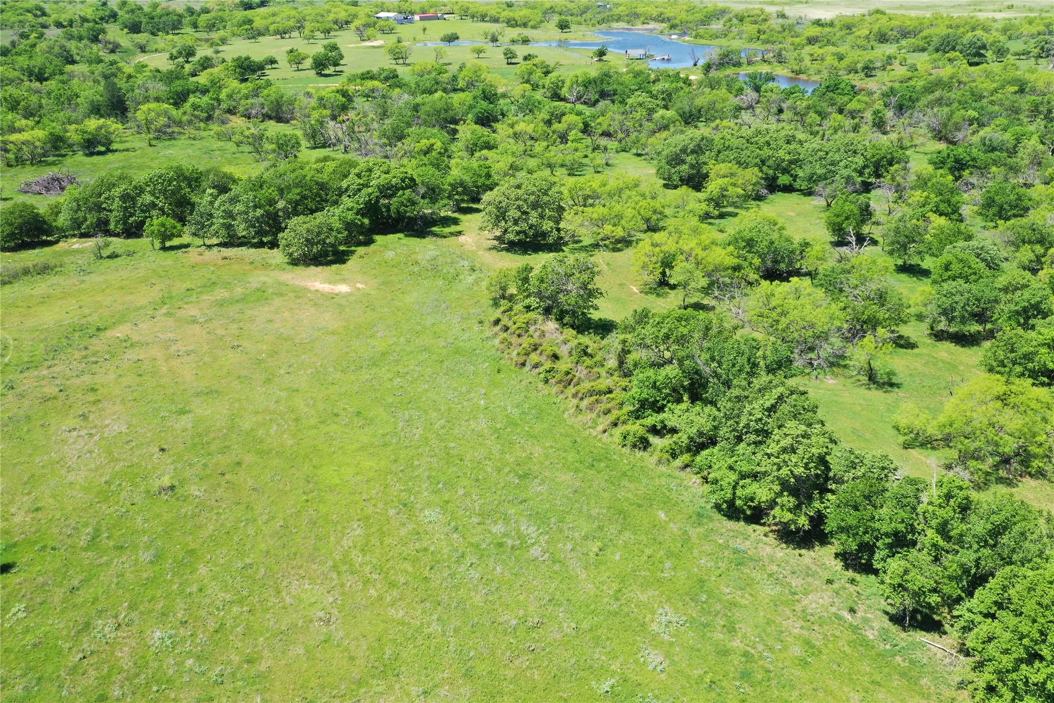 Ranch For Sale in Clay County , 40 Acres Sears Mayfield Rd, Henrietta, Texas 76365, 0, 0, Garage spaces, 0 Sqft, built in 0, mls#20850938, Real Estate Agent in Henrietta, Homes For Sale in Clay county, Homes For Sale in Henrietta, Realtor in Henrietta Texas, Real Estate Brokerage Independent Realty Texas, Luminita Cordes Realtor