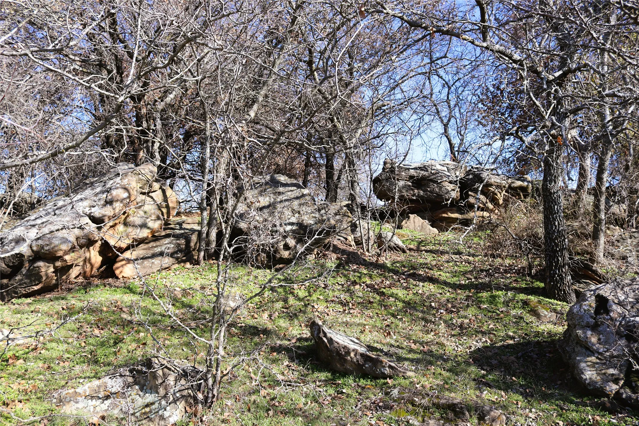 Ranch For Sale in Clay County , 40 Acres Sears Mayfield Rd, Henrietta, Texas 76365, 0, 0, Garage spaces, 0 Sqft, built in 0, mls#20850938, Real Estate Agent in Henrietta, Homes For Sale in Clay county, Homes For Sale in Henrietta, Realtor in Henrietta Texas, Real Estate Brokerage Independent Realty Texas, Luminita Cordes Realtor
