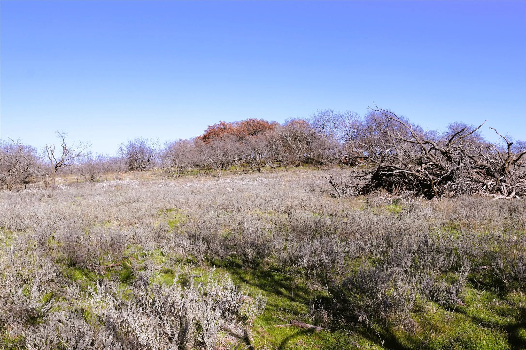 Ranch For Sale in Clay County , 40 Acres Sears Mayfield Rd, Henrietta, Texas 76365, 0, 0, Garage spaces, 0 Sqft, built in 0, mls#20850938, Real Estate Agent in Henrietta, Homes For Sale in Clay county, Homes For Sale in Henrietta, Realtor in Henrietta Texas, Real Estate Brokerage Independent Realty Texas, Luminita Cordes Realtor