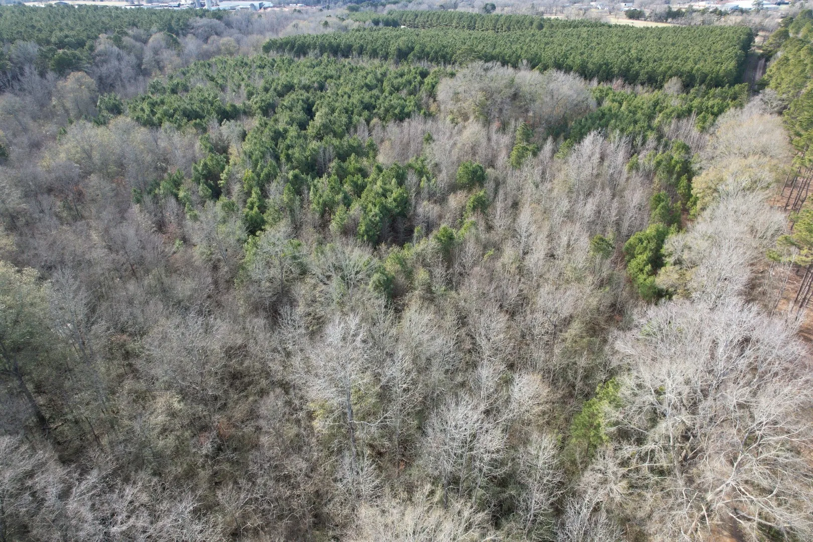 Unimproved Land For Sale in Shelby County , Tract C County Road 4037, Timpson, Texas 75975, 0, 0, Garage spaces, 0 Sqft, built in 0, Price $120,000, mls#20851631, Real Estate Agent in Timpson, Homes For Sale in Shelby county, Homes For Sale in Timpson, Realtor in Timpson Texas, Real Estate Brokerage Independent Realty Texas, Luminita Cordes Realtor