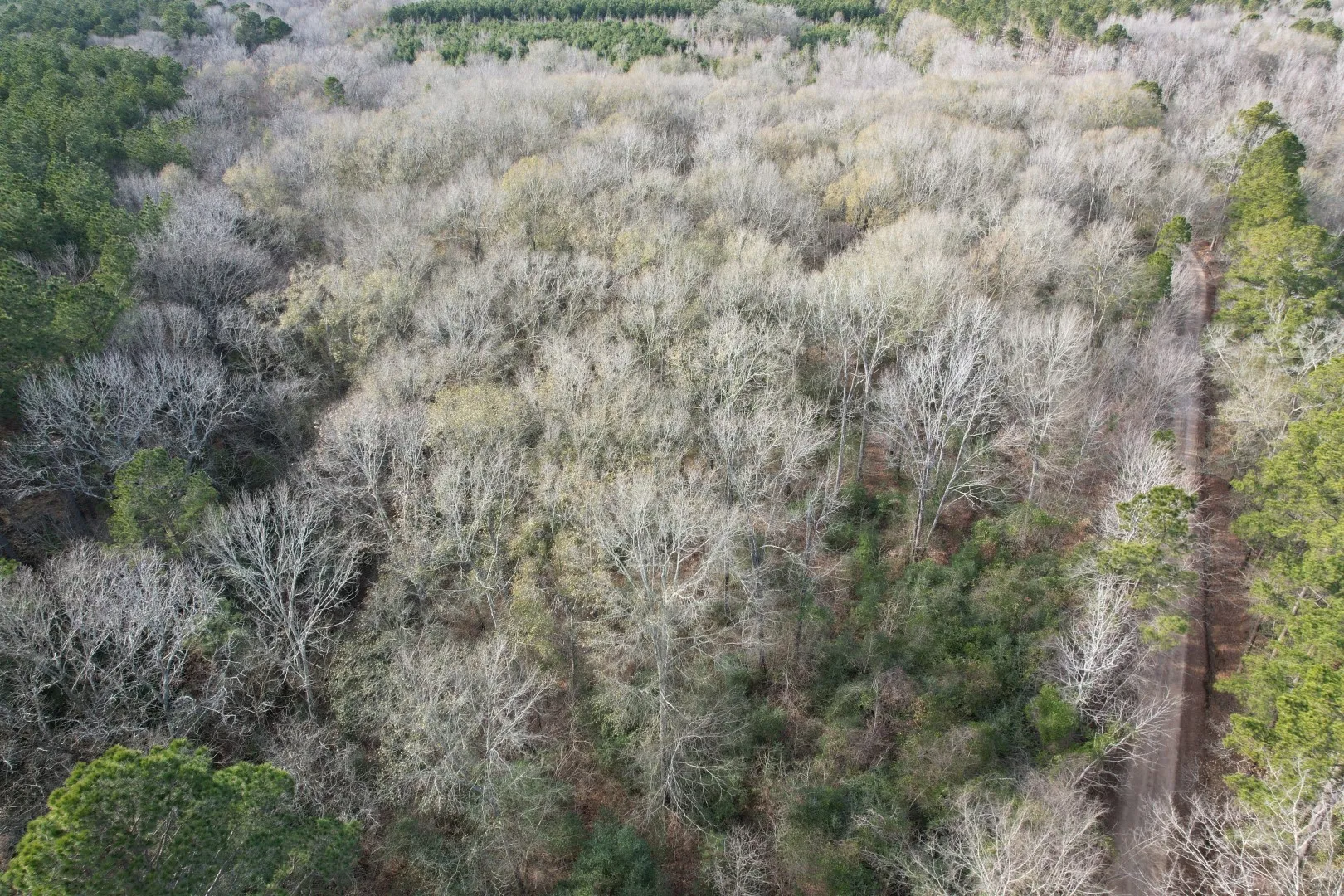 Unimproved Land For Sale in Shelby County , Tract C County Road 4037, Timpson, Texas 75975, 0, 0, Garage spaces, 0 Sqft, built in 0, Price $120,000, mls#20851631, Real Estate Agent in Timpson, Homes For Sale in Shelby county, Homes For Sale in Timpson, Realtor in Timpson Texas, Real Estate Brokerage Independent Realty Texas, Luminita Cordes Realtor