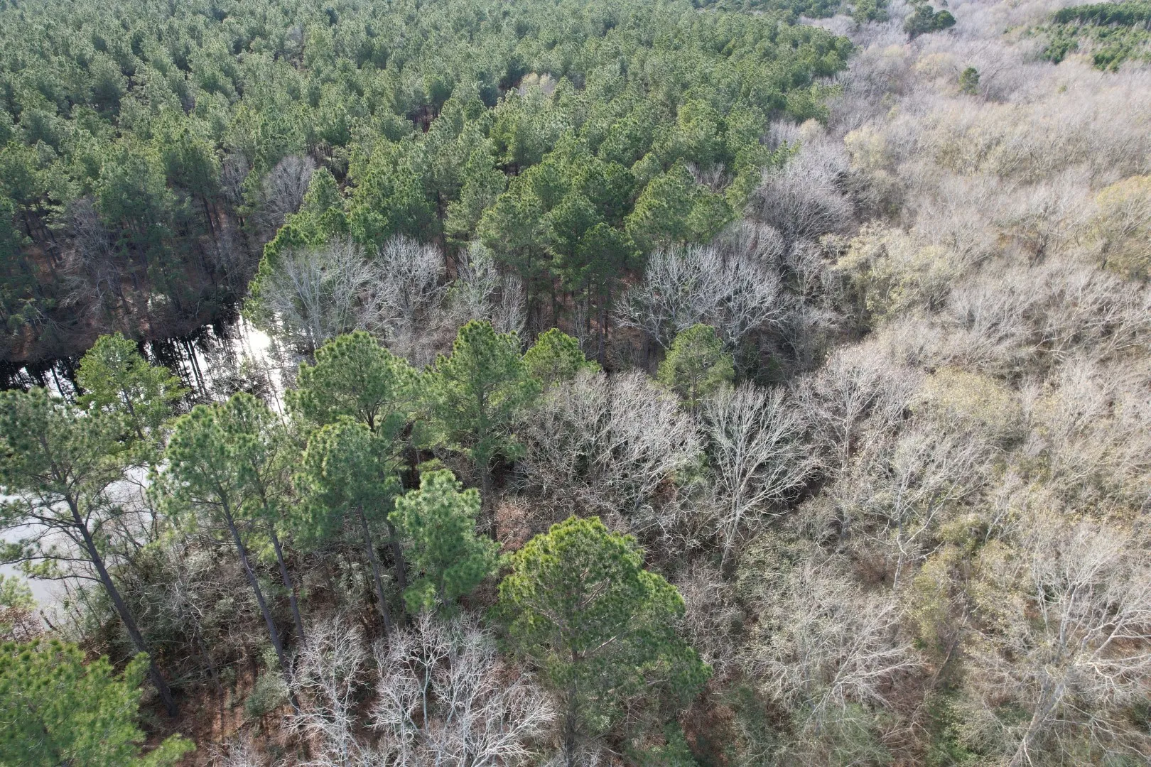 Unimproved Land For Sale in Shelby County , Tract C County Road 4037, Timpson, Texas 75975, 0, 0, Garage spaces, 0 Sqft, built in 0, Price $120,000, mls#20851631, Real Estate Agent in Timpson, Homes For Sale in Shelby county, Homes For Sale in Timpson, Realtor in Timpson Texas, Real Estate Brokerage Independent Realty Texas, Luminita Cordes Realtor