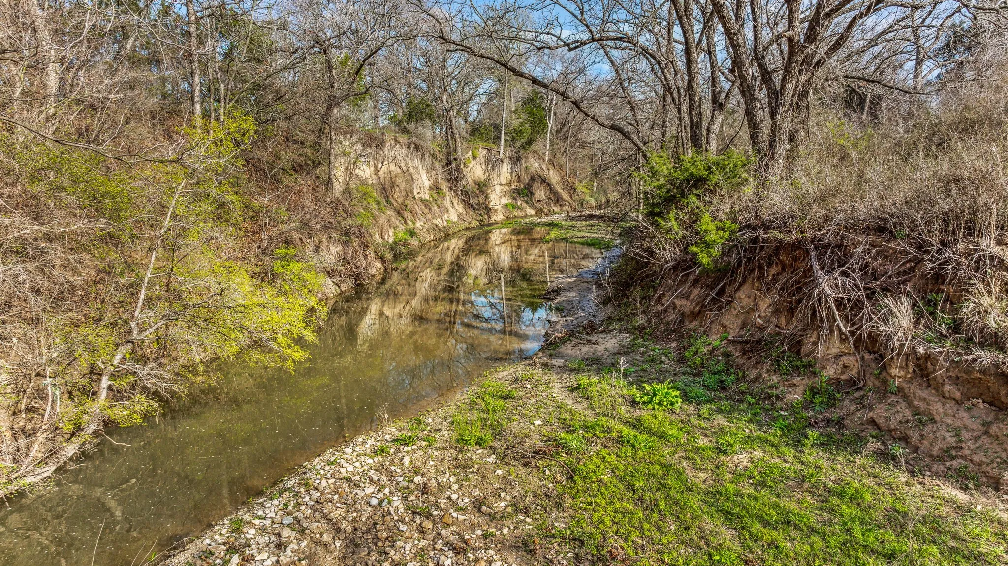 Unimproved Land For Sale in Erath County , TBD-4 CR 160, Bluff Dale, Texas 76433, 0, 0, Garage spaces, 0 Sqft, built in 0, mls#20853164, Real Estate Agent in Bluff Dale, Homes For Sale in Erath county, Homes For Sale in Bluff Dale, Realtor in Bluff Dale Texas, Real Estate Brokerage Independent Realty Texas, Luminita Cordes Realtor