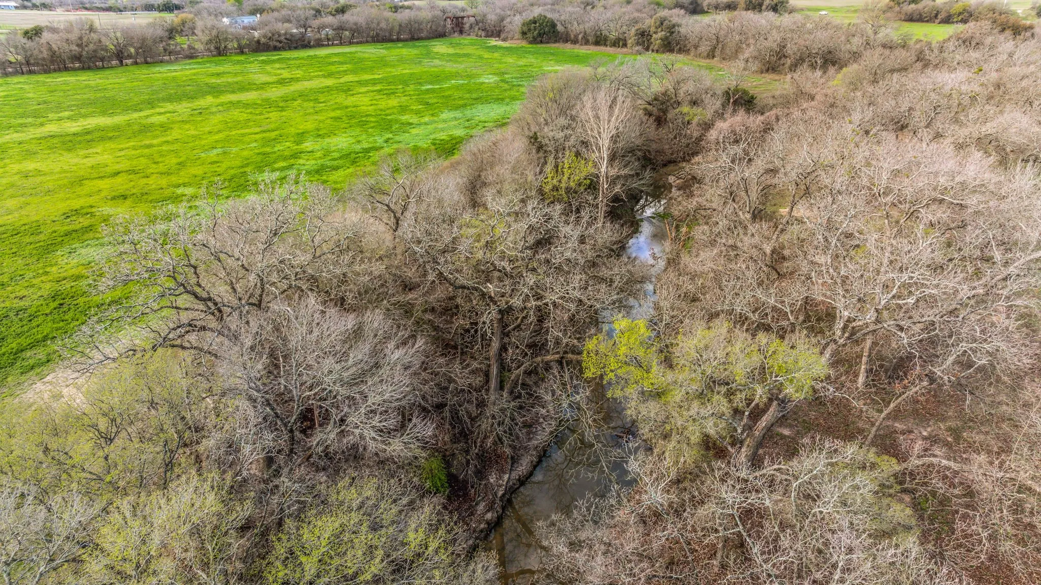 Unimproved Land For Sale in Erath County , TBD-4 CR 160, Bluff Dale, Texas 76433, 0, 0, Garage spaces, 0 Sqft, built in 0, mls#20853164, Real Estate Agent in Bluff Dale, Homes For Sale in Erath county, Homes For Sale in Bluff Dale, Realtor in Bluff Dale Texas, Real Estate Brokerage Independent Realty Texas, Luminita Cordes Realtor