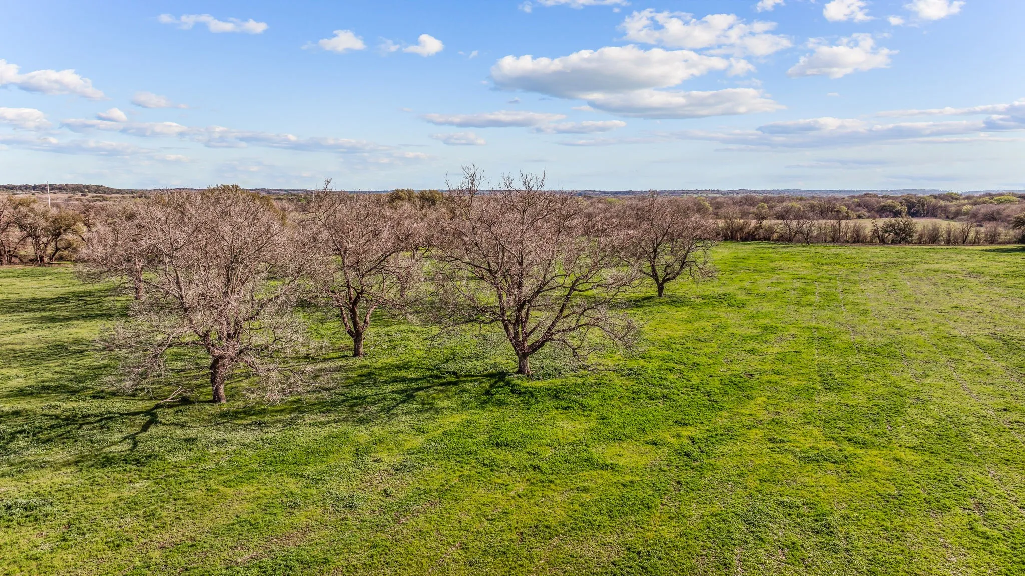 Unimproved Land For Sale in Erath County , TBD-4 CR 160, Bluff Dale, Texas 76433, 0, 0, Garage spaces, 0 Sqft, built in 0, mls#20853164, Real Estate Agent in Bluff Dale, Homes For Sale in Erath county, Homes For Sale in Bluff Dale, Realtor in Bluff Dale Texas, Real Estate Brokerage Independent Realty Texas, Luminita Cordes Realtor