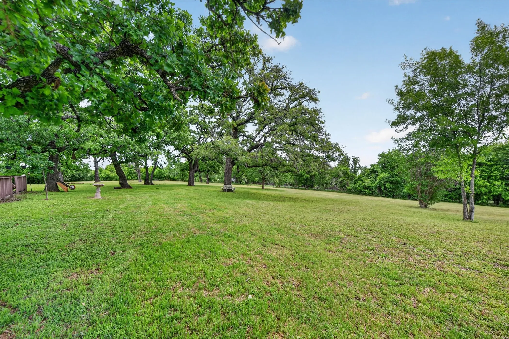 Expansive green lawn with mature trees and a partial wood fence