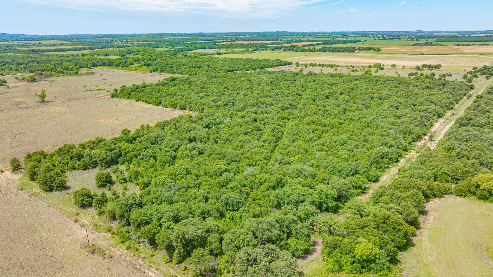 Unimproved Land For Sale in Eastland County , 0000 County Road 380, Rising Star, Texas 76471, 0, 0, Garage spaces, 0 Sqft, built in 0, Price $579,600, mls#20854863, Real Estate Agent in Rising Star, Homes For Sale in Eastland county, Homes For Sale in Rising Star, Realtor in Rising Star Texas, Real Estate Brokerage Independent Realty Texas, Luminita Cordes Realtor