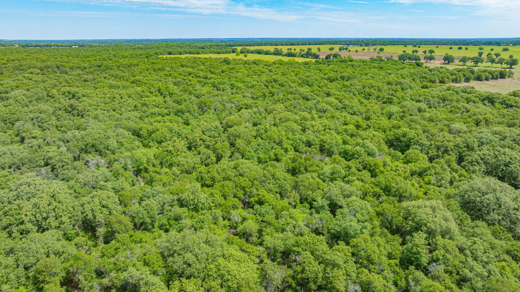 Unimproved Land For Sale in Eastland County , 0000 County Road 380, Rising Star, Texas 76471, 0, 0, Garage spaces, 0 Sqft, built in 0, Price $579,600, mls#20854863, Real Estate Agent in Rising Star, Homes For Sale in Eastland county, Homes For Sale in Rising Star, Realtor in Rising Star Texas, Real Estate Brokerage Independent Realty Texas, Luminita Cordes Realtor