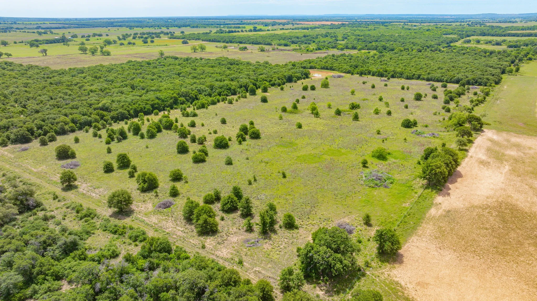 Unimproved Land For Sale in Eastland County , 0000 County Road 380, Rising Star, Texas 76471, 0, 0, Garage spaces, 0 Sqft, built in 0, Price $579,600, mls#20854863, Real Estate Agent in Rising Star, Homes For Sale in Eastland county, Homes For Sale in Rising Star, Realtor in Rising Star Texas, Real Estate Brokerage Independent Realty Texas, Luminita Cordes Realtor