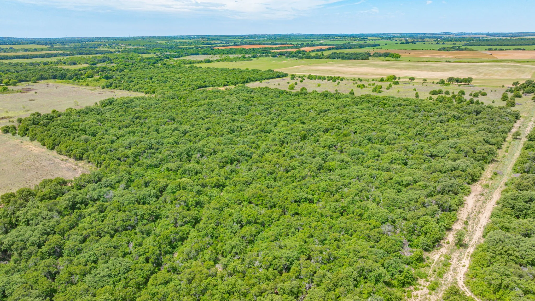 Unimproved Land For Sale in Eastland County , 0000 County Road 380, Rising Star, Texas 76471, 0, 0, Garage spaces, 0 Sqft, built in 0, Price $579,600, mls#20854863, Real Estate Agent in Rising Star, Homes For Sale in Eastland county, Homes For Sale in Rising Star, Realtor in Rising Star Texas, Real Estate Brokerage Independent Realty Texas, Luminita Cordes Realtor