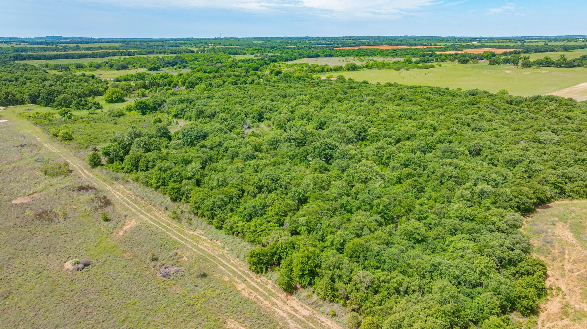 Unimproved Land For Sale in Eastland County , 0000 County Road 380, Rising Star, Texas 76471, 0, 0, Garage spaces, 0 Sqft, built in 0, Price $579,600, mls#20854863, Real Estate Agent in Rising Star, Homes For Sale in Eastland county, Homes For Sale in Rising Star, Realtor in Rising Star Texas, Real Estate Brokerage Independent Realty Texas, Luminita Cordes Realtor