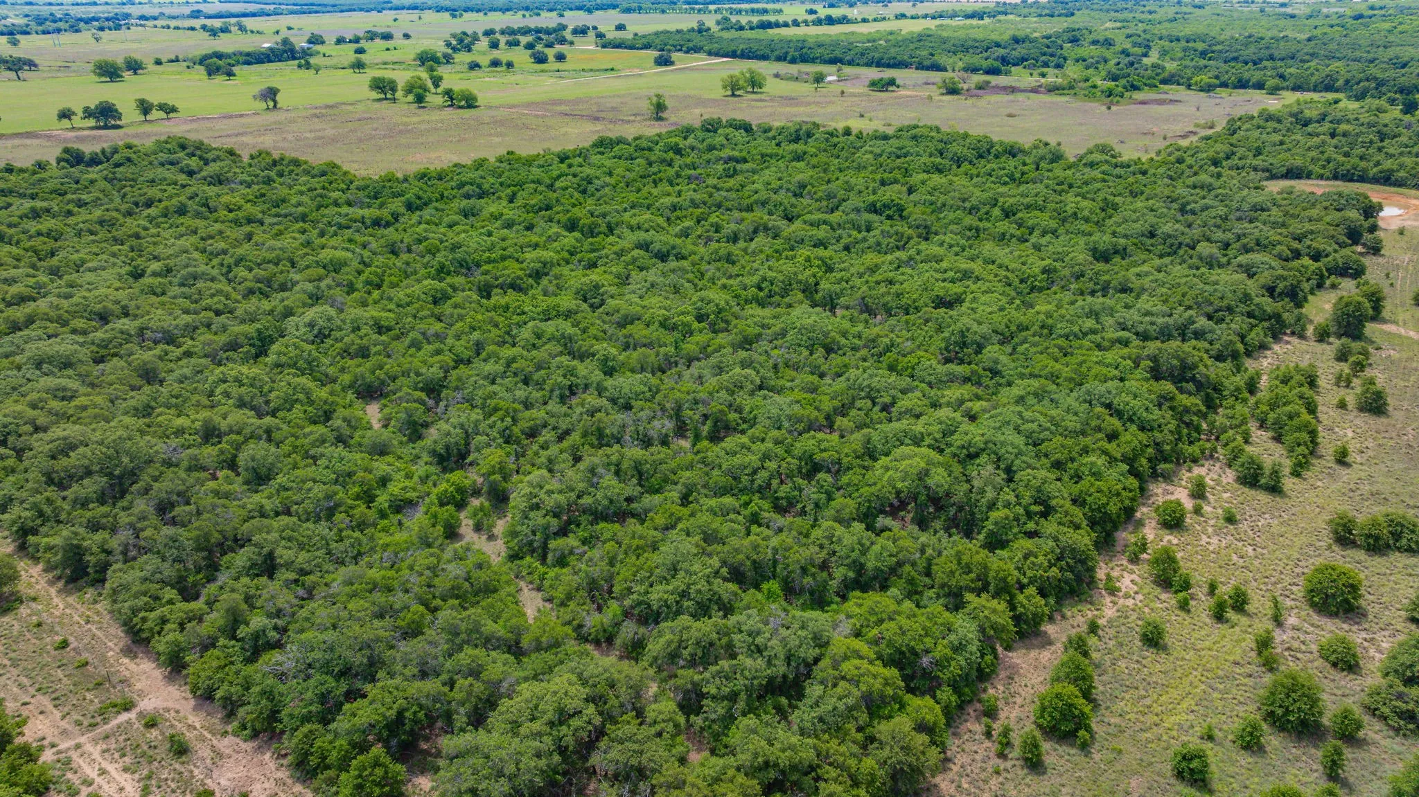 Unimproved Land For Sale in Eastland County , 0000 County Road 380, Rising Star, Texas 76471, 0, 0, Garage spaces, 0 Sqft, built in 0, Price $579,600, mls#20854863, Real Estate Agent in Rising Star, Homes For Sale in Eastland county, Homes For Sale in Rising Star, Realtor in Rising Star Texas, Real Estate Brokerage Independent Realty Texas, Luminita Cordes Realtor
