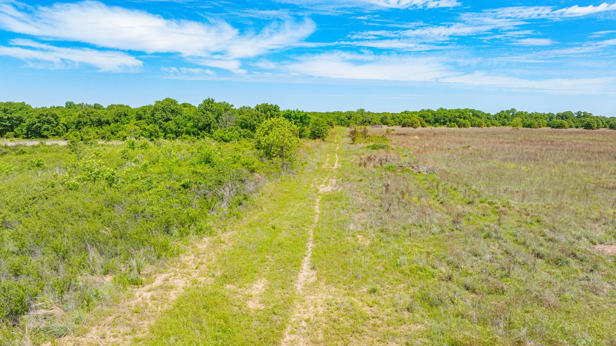 Unimproved Land For Sale in Eastland County , 0000 County Road 380, Rising Star, Texas 76471, 0, 0, Garage spaces, 0 Sqft, built in 0, Price $579,600, mls#20854863, Real Estate Agent in Rising Star, Homes For Sale in Eastland county, Homes For Sale in Rising Star, Realtor in Rising Star Texas, Real Estate Brokerage Independent Realty Texas, Luminita Cordes Realtor